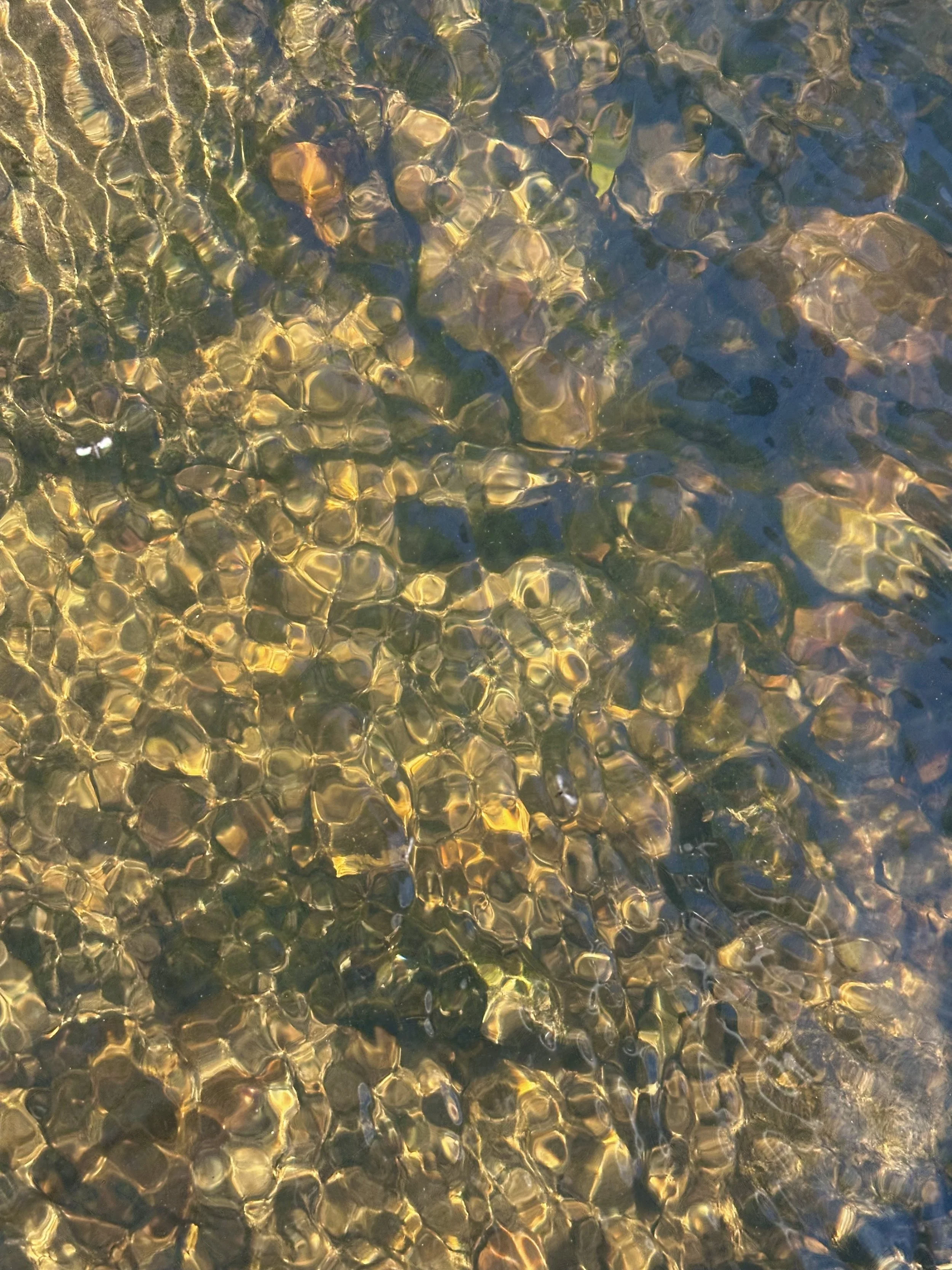 IMG_2747.jpeg