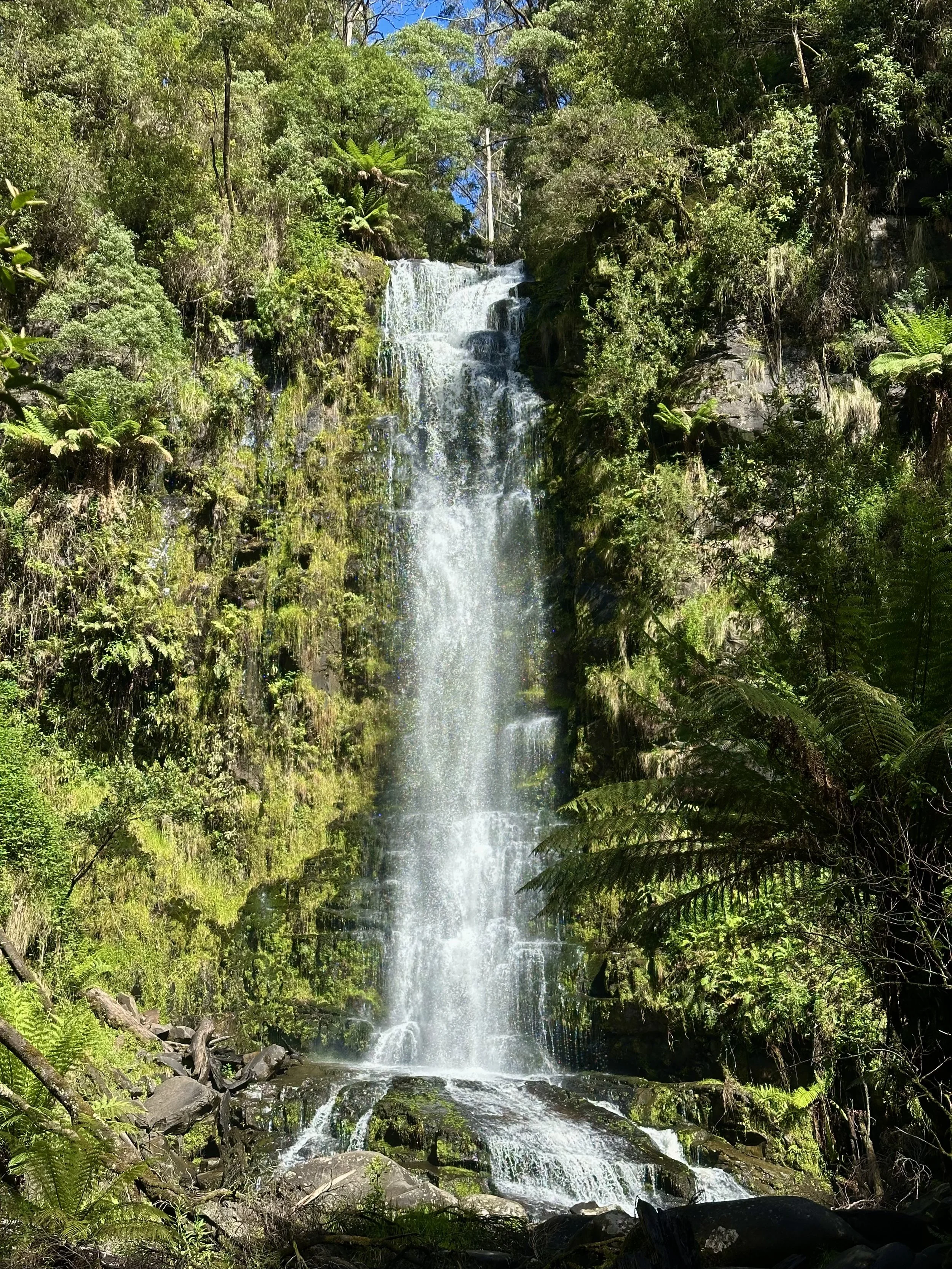 IMG_2739.jpeg