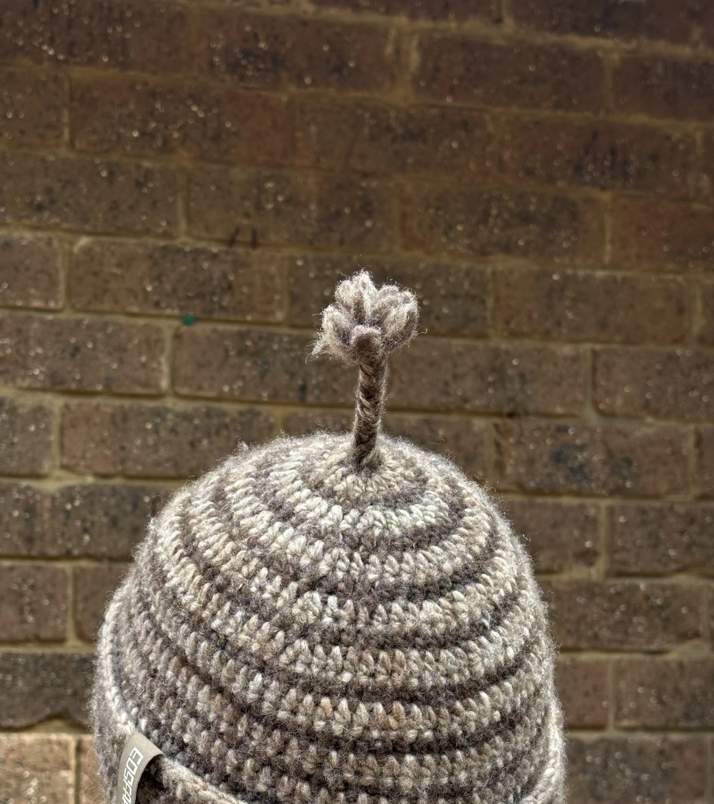 Sprout Beanie