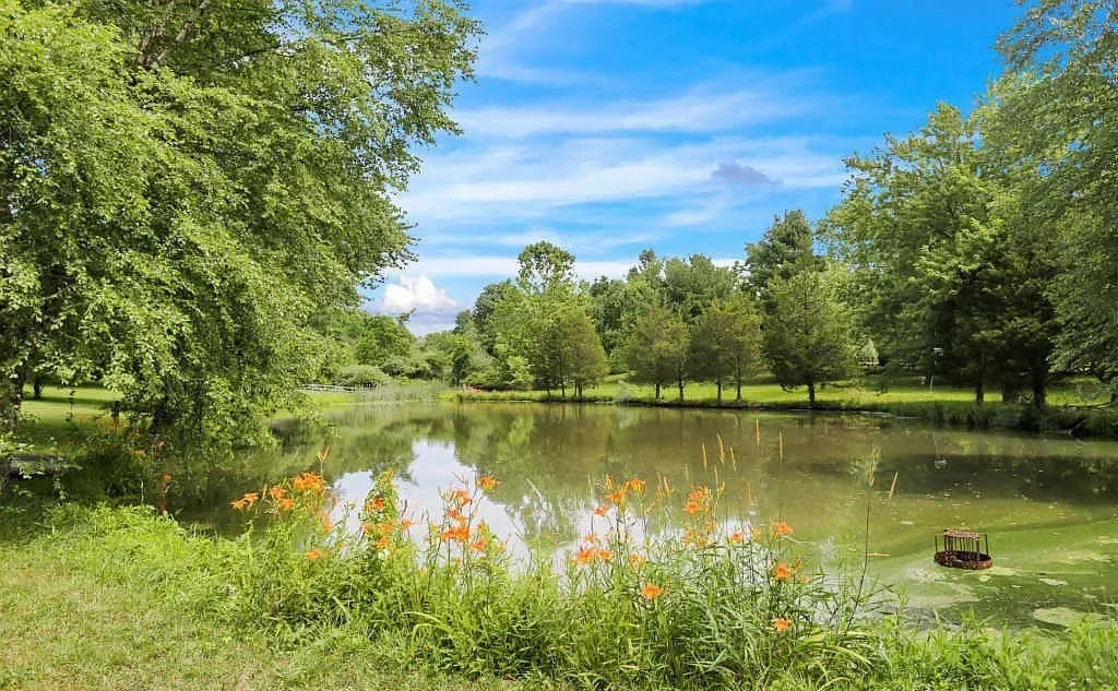 A peaceful park scene with a pond surrounded by lush green trees and orange flowers in the foreground, under a bright blue sky with some clouds.