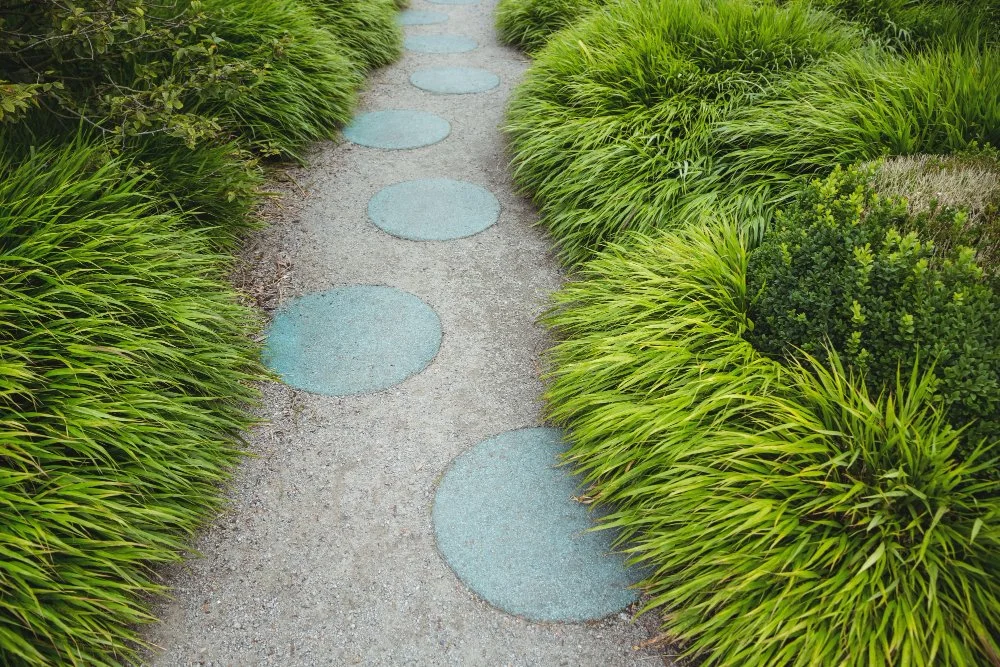 A garden pathway made of circular blue stepping stones, surrounded by lush green plants and bushes.