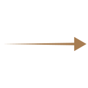 Brown arrow pointing to the right.