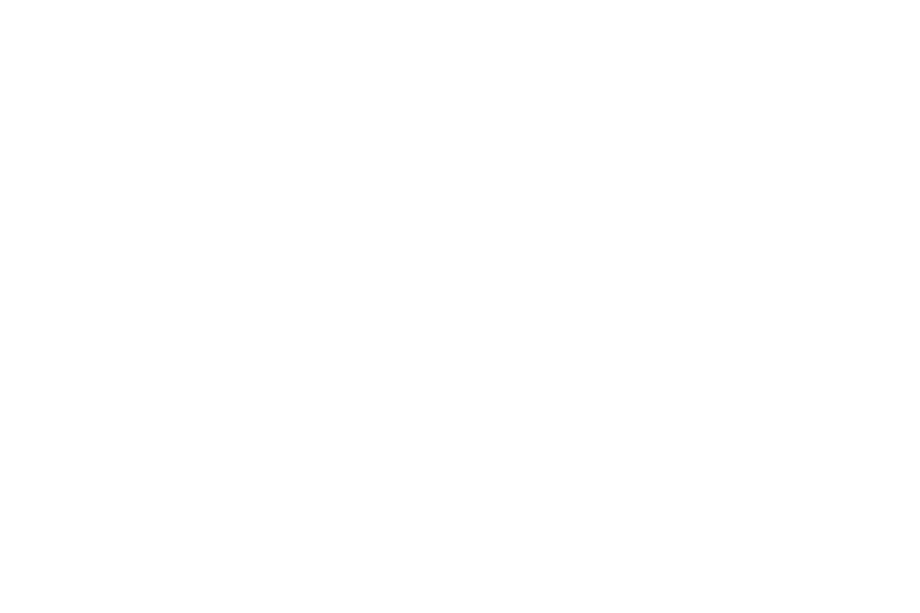 Black and white logo of Fine Line Landscape Co., featuring large stylized initials 'F' and 'L' with a small palm tree between them, encircled by the text 'FINE LINE TRIM AND DESIGN' and 'LANDSCAPE CO.', with the tagline 'First Responder Owned and Operated' below.