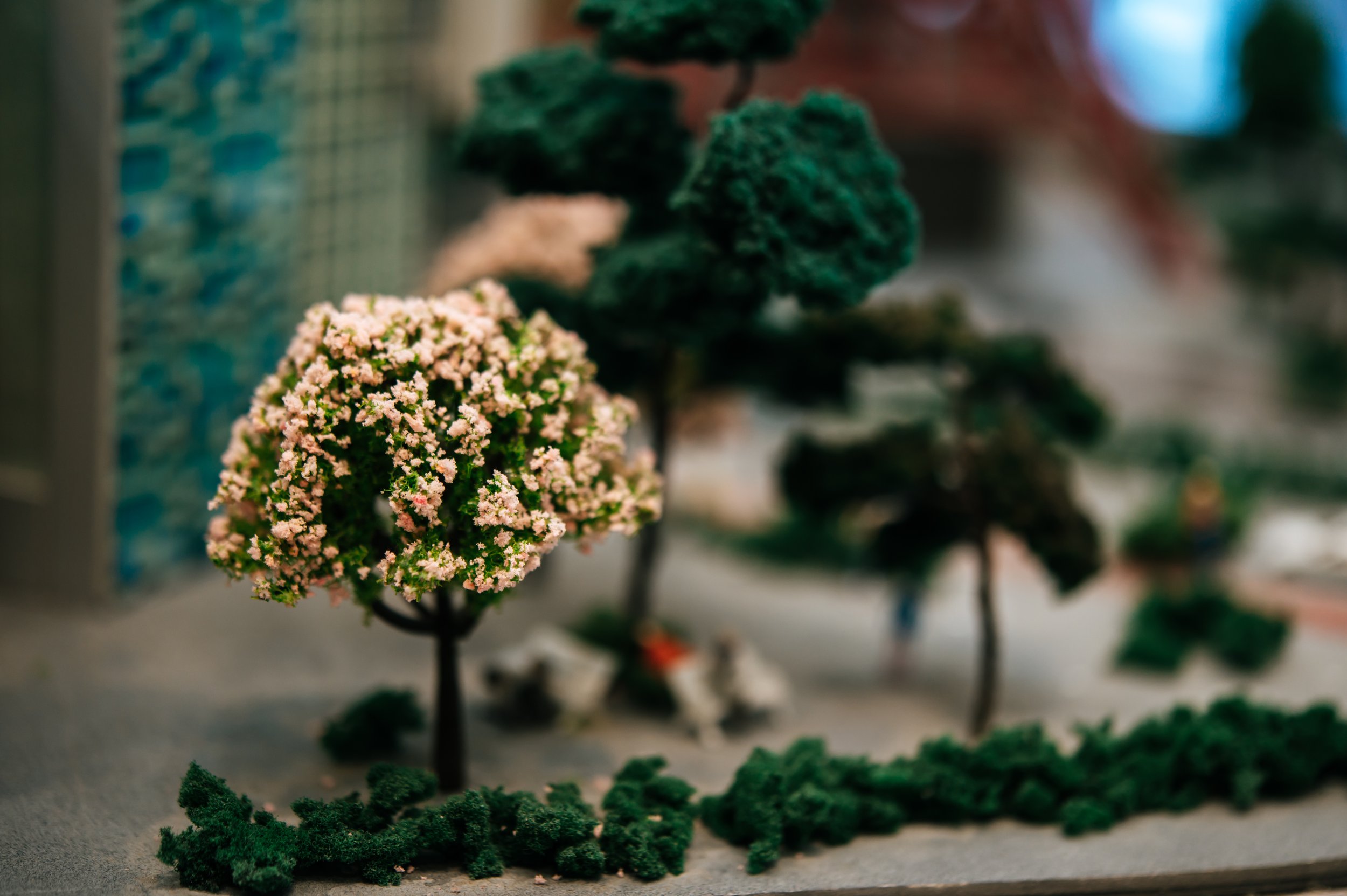 Close-up of a tiny pink flowering plant with multiple blossoms, surrounded by green leaves, on a neutral background.