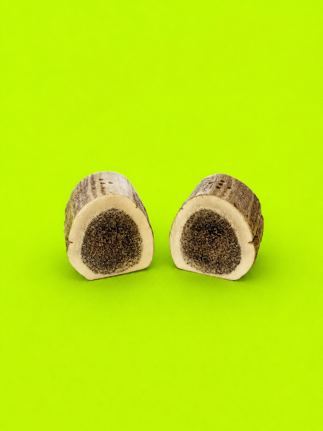 Antler salt and pepper shakers