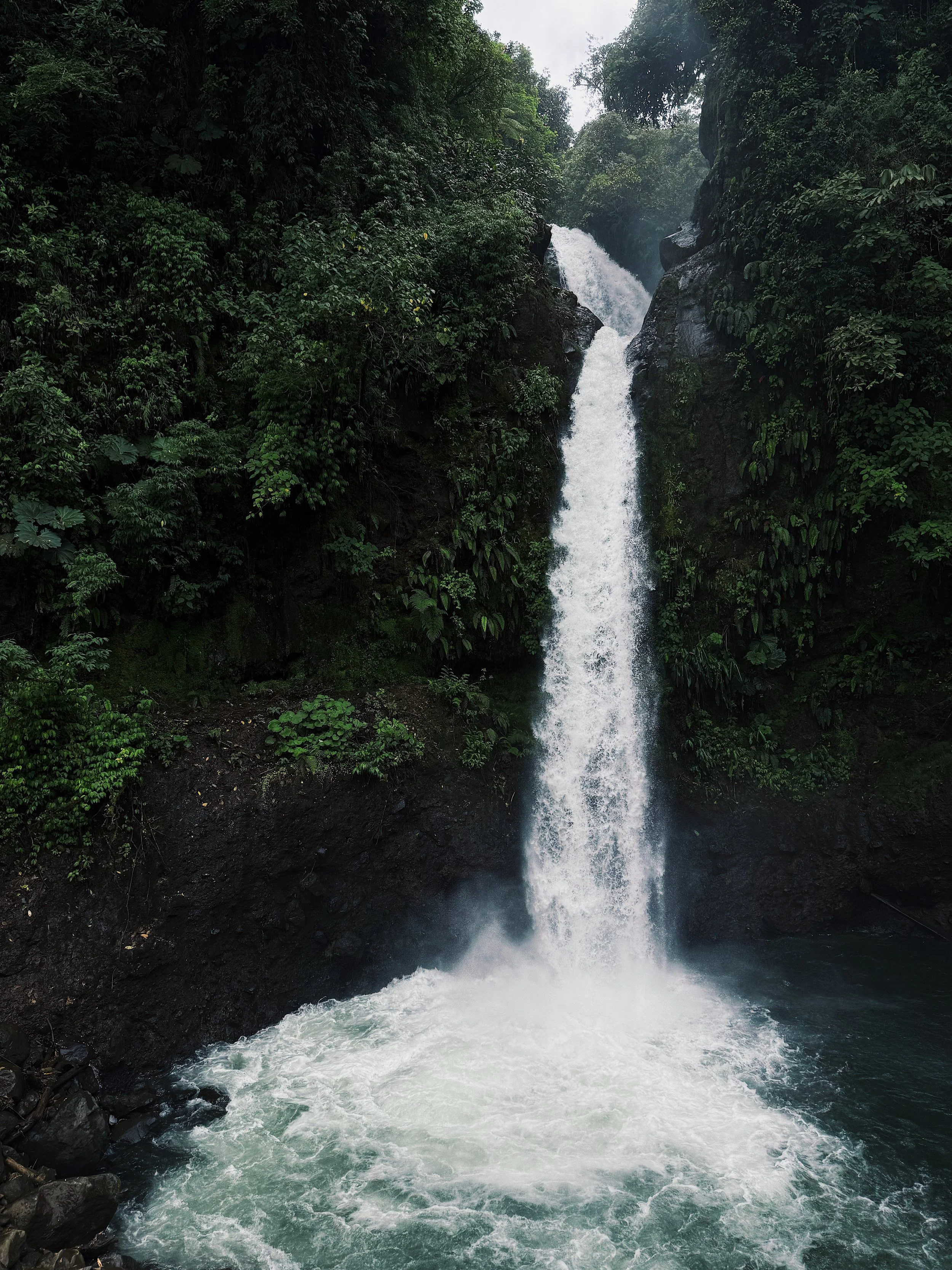 A waterfall flowing down a rocky cliff surrounded by dense green foliage.