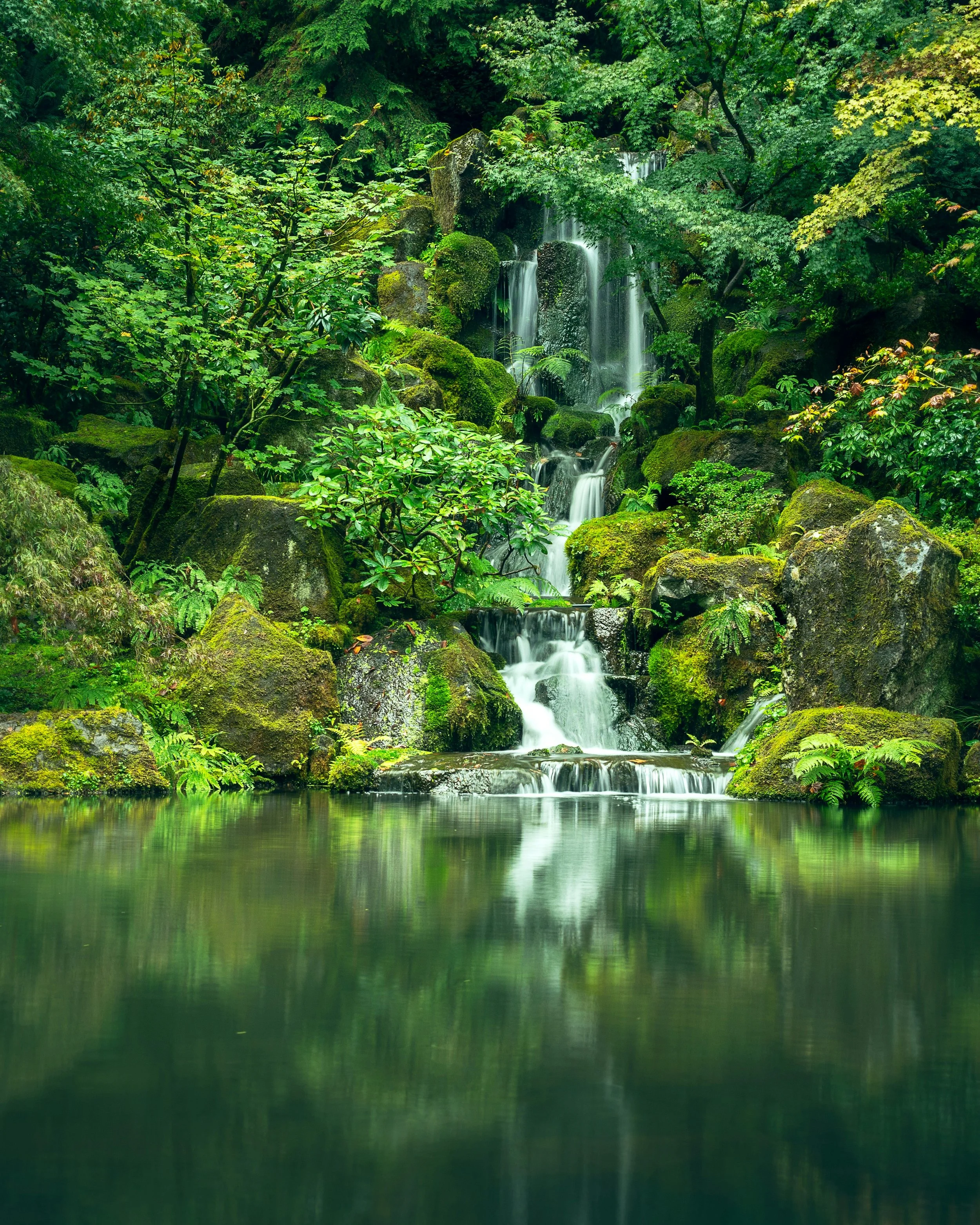 A lush forest scene featuring a waterfall cascading over moss-covered rocks into a calm, reflective pond surrounded by green trees and plants.