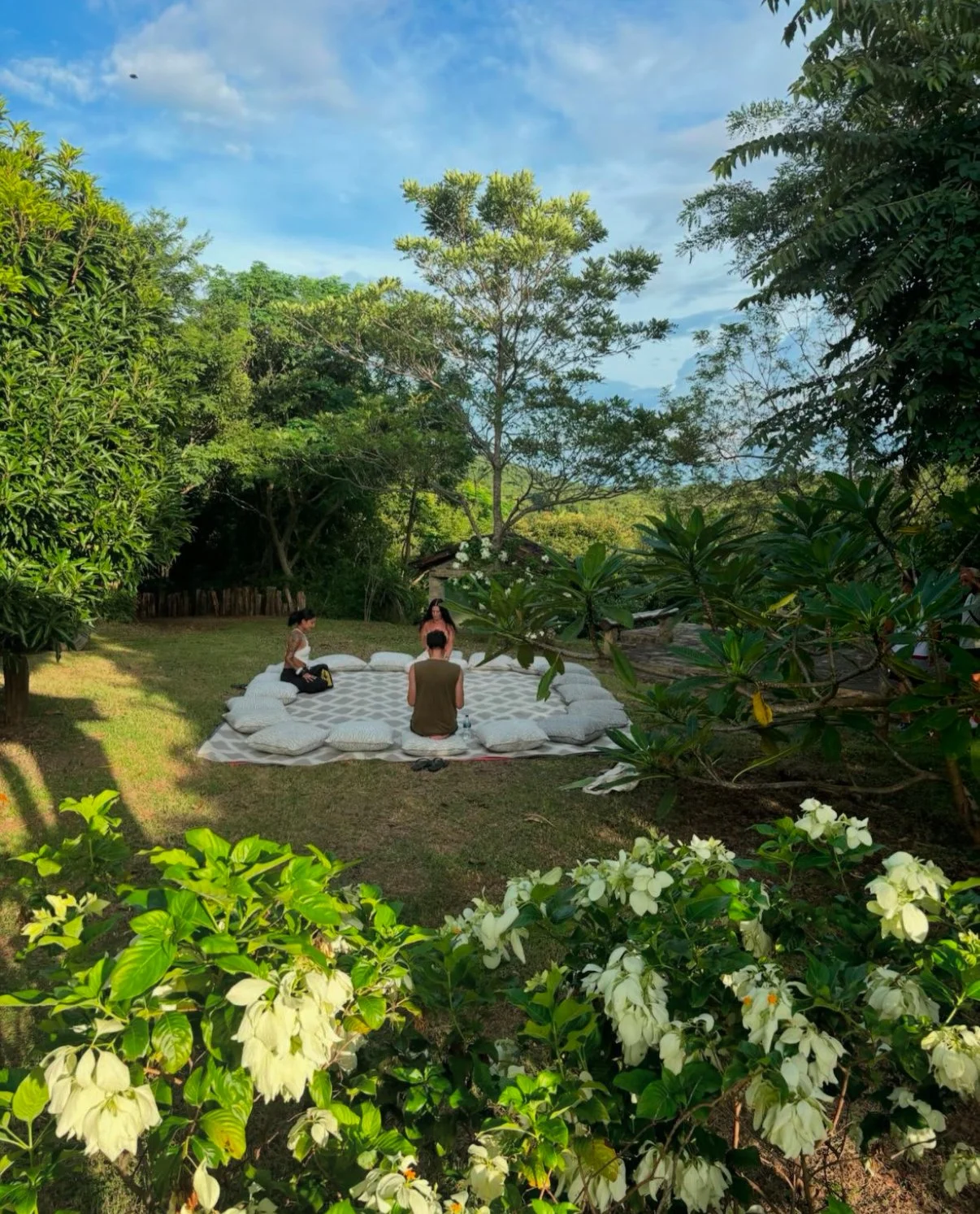 People sitting on a large mat with cushions in a lush, green outdoor garden with trees and white flowers, under a blue sky.