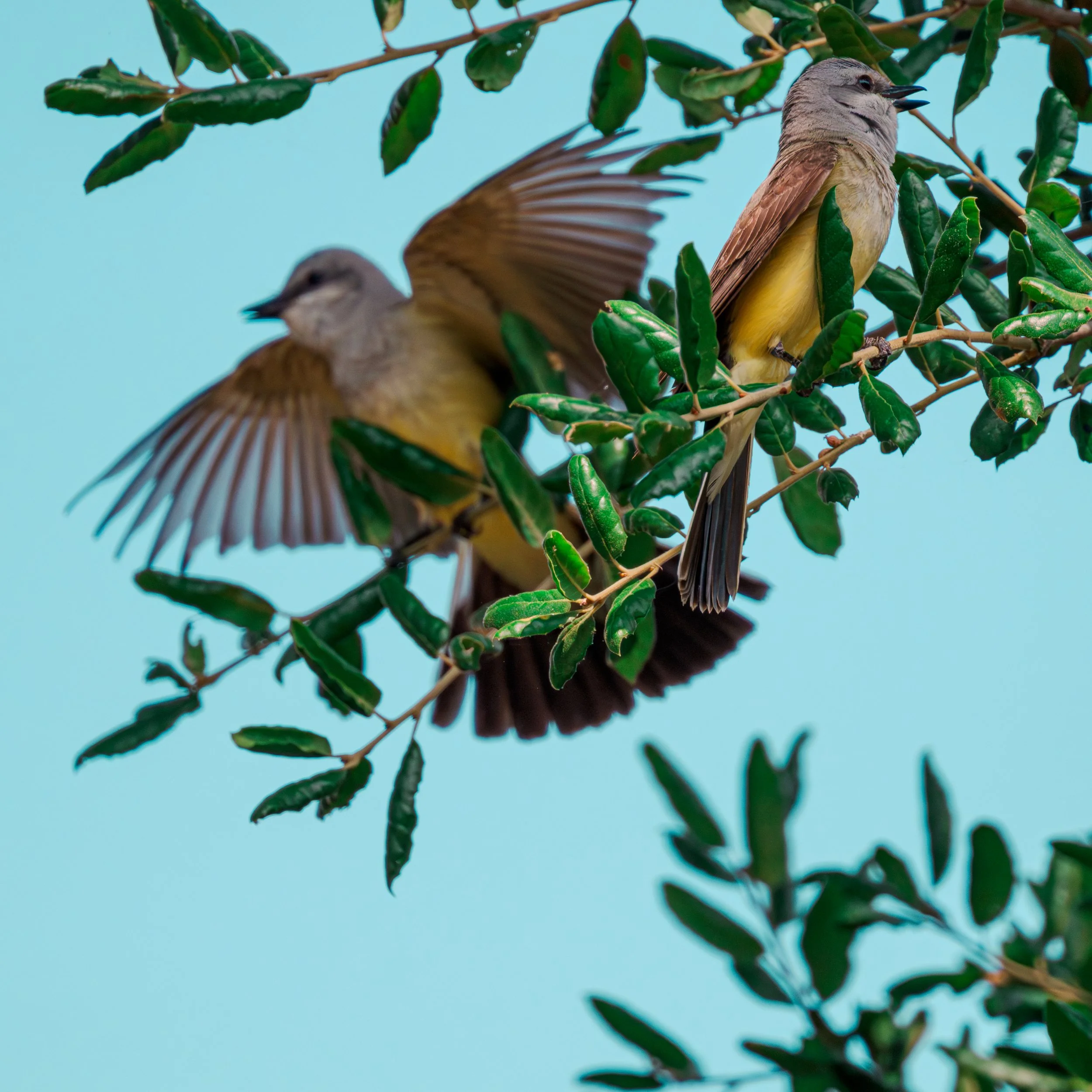 _Z638718.jpg