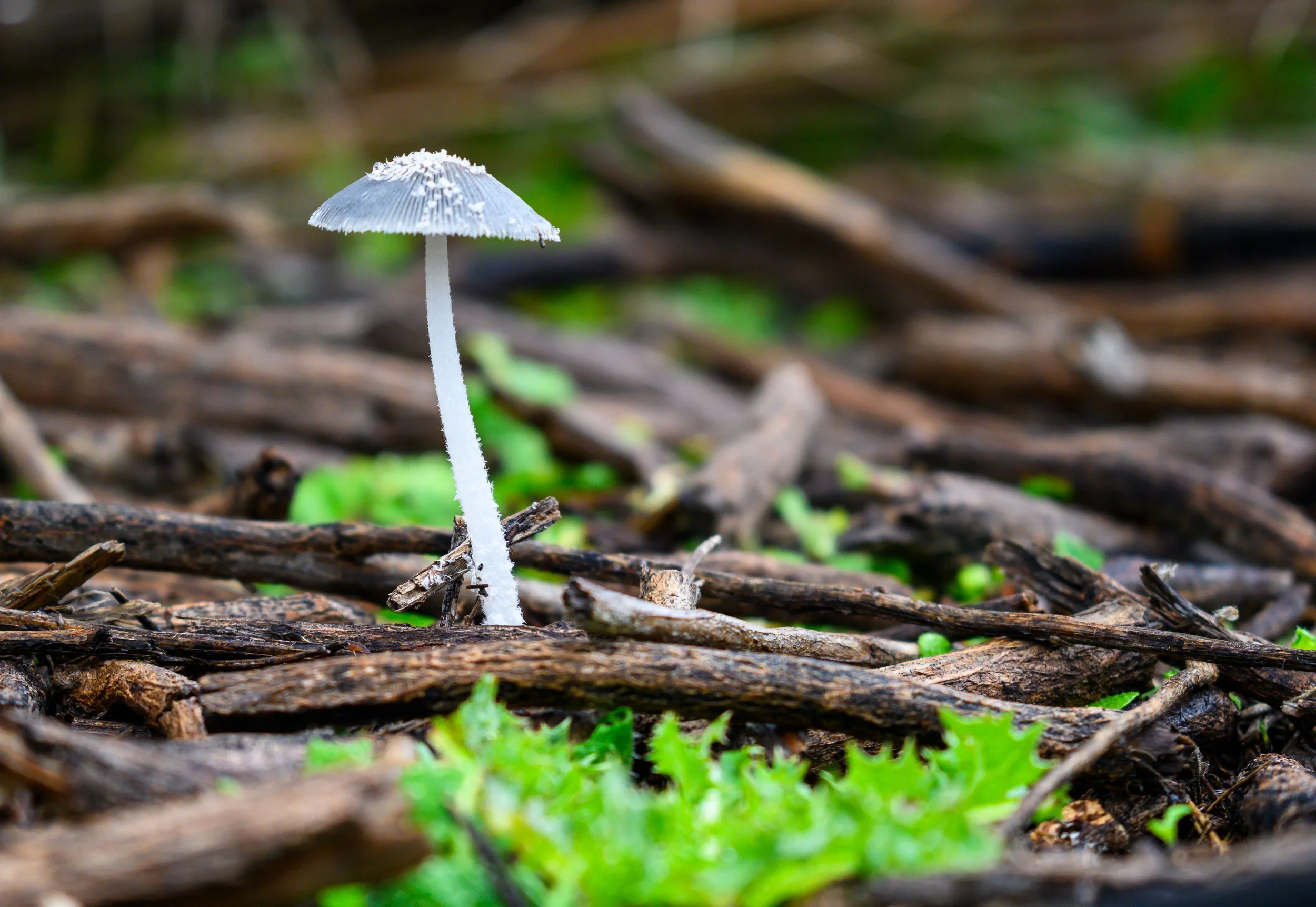 1000054845.jpg