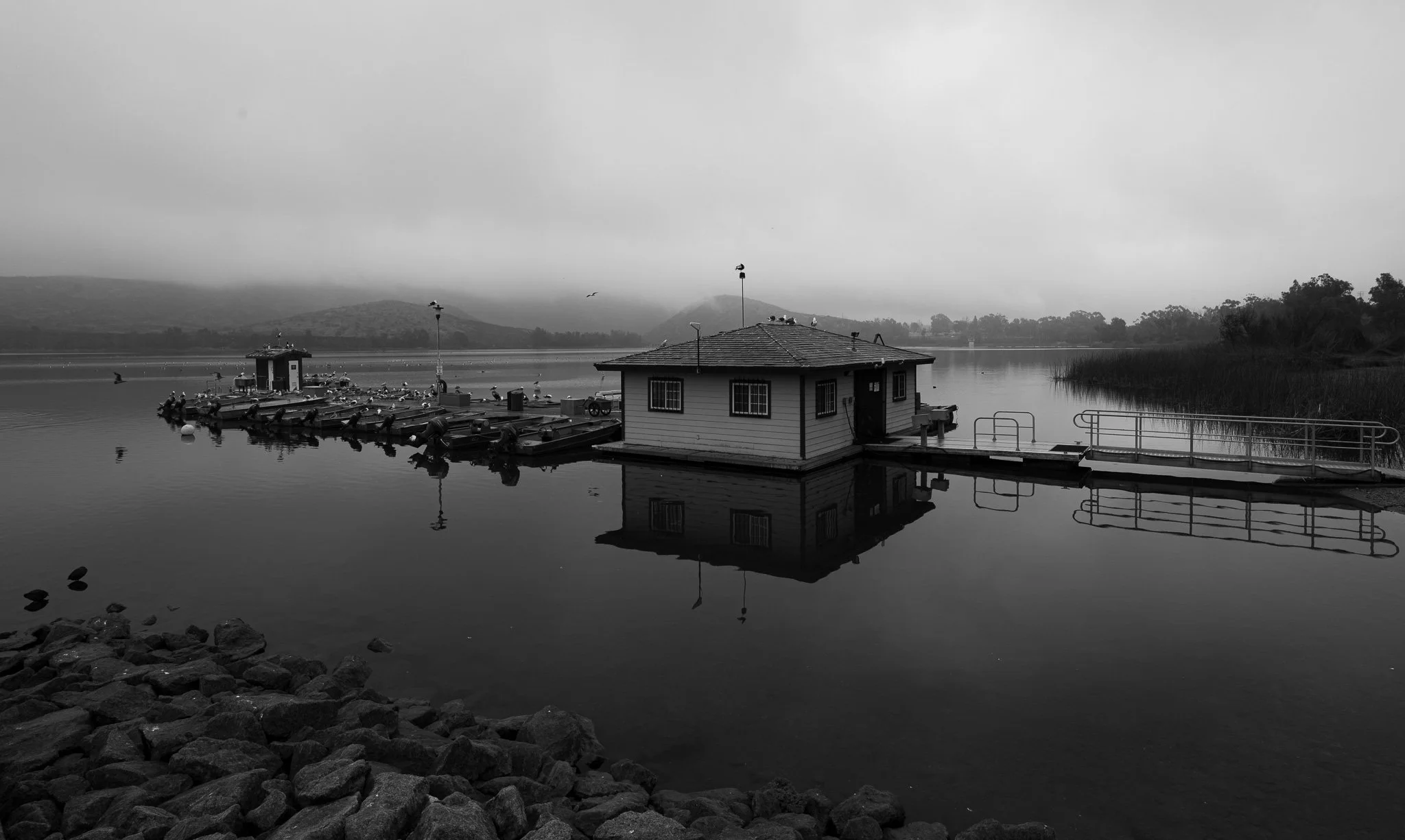 Z63_6914.jpg