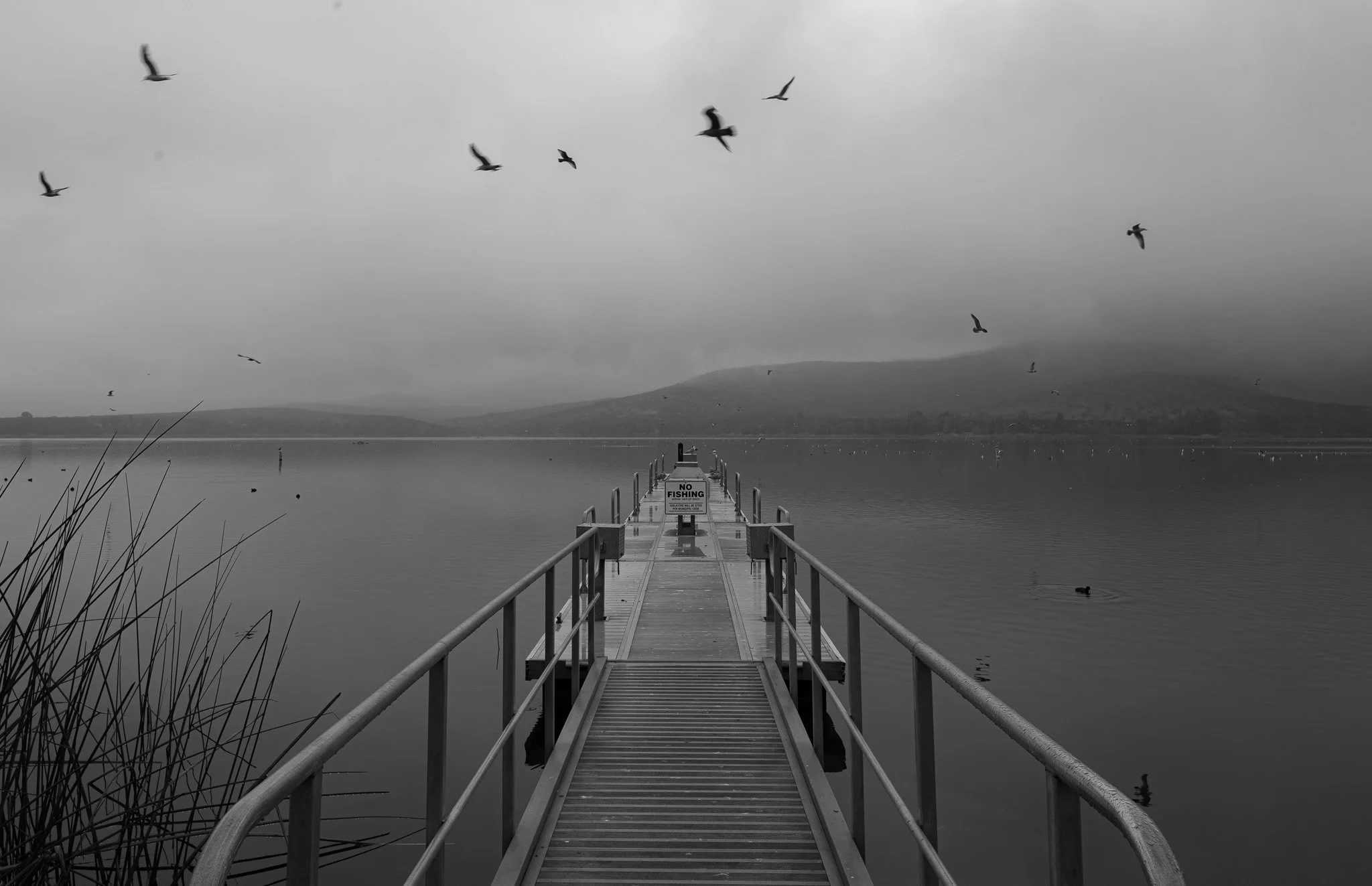 Z63_6883.jpg