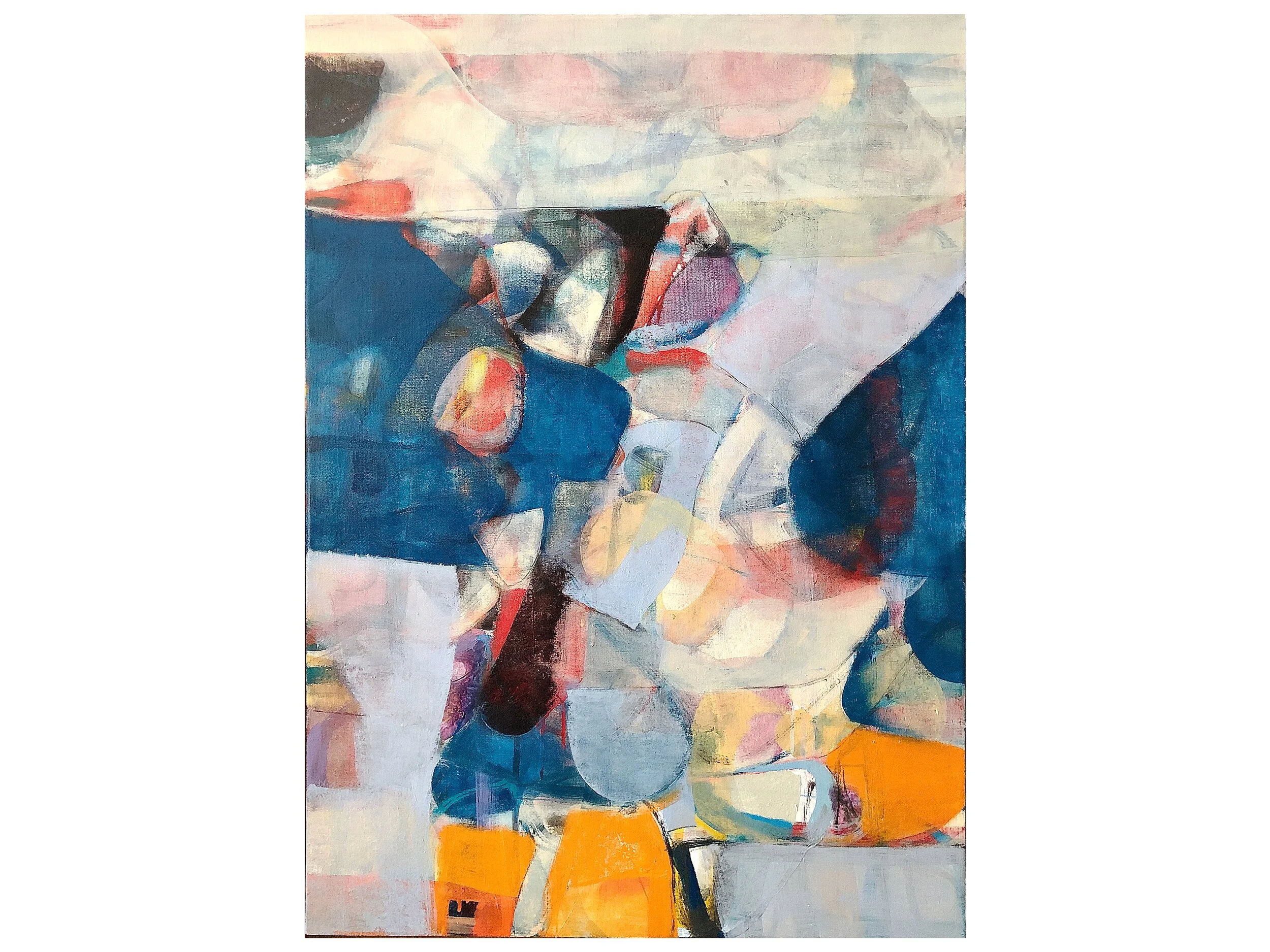 STUDY FOR COMMON WHITE