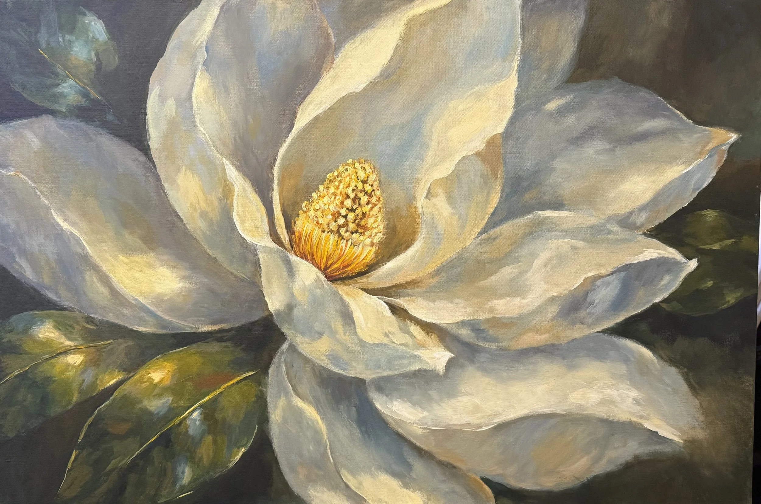 Magnolia Bloom