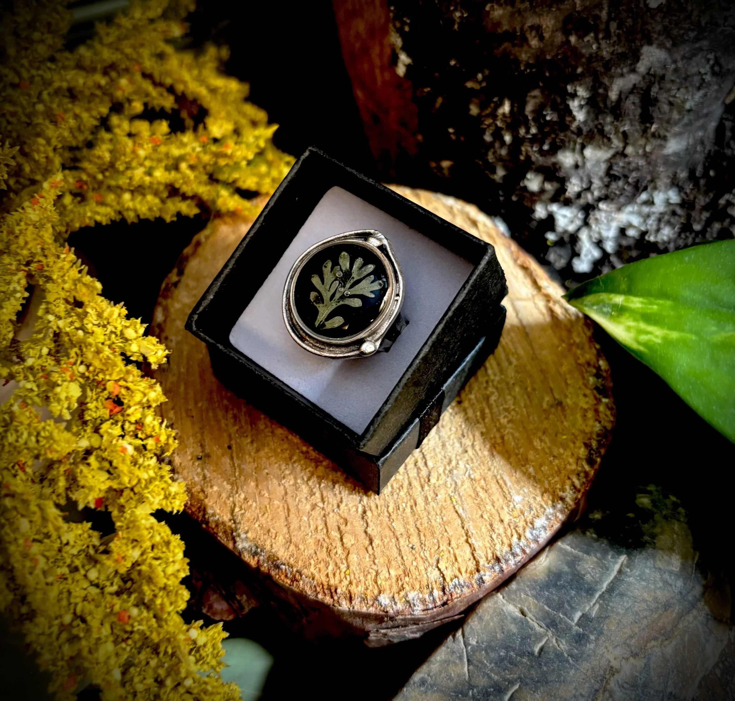 Large Circular Antique Silver Ring- Coral plant