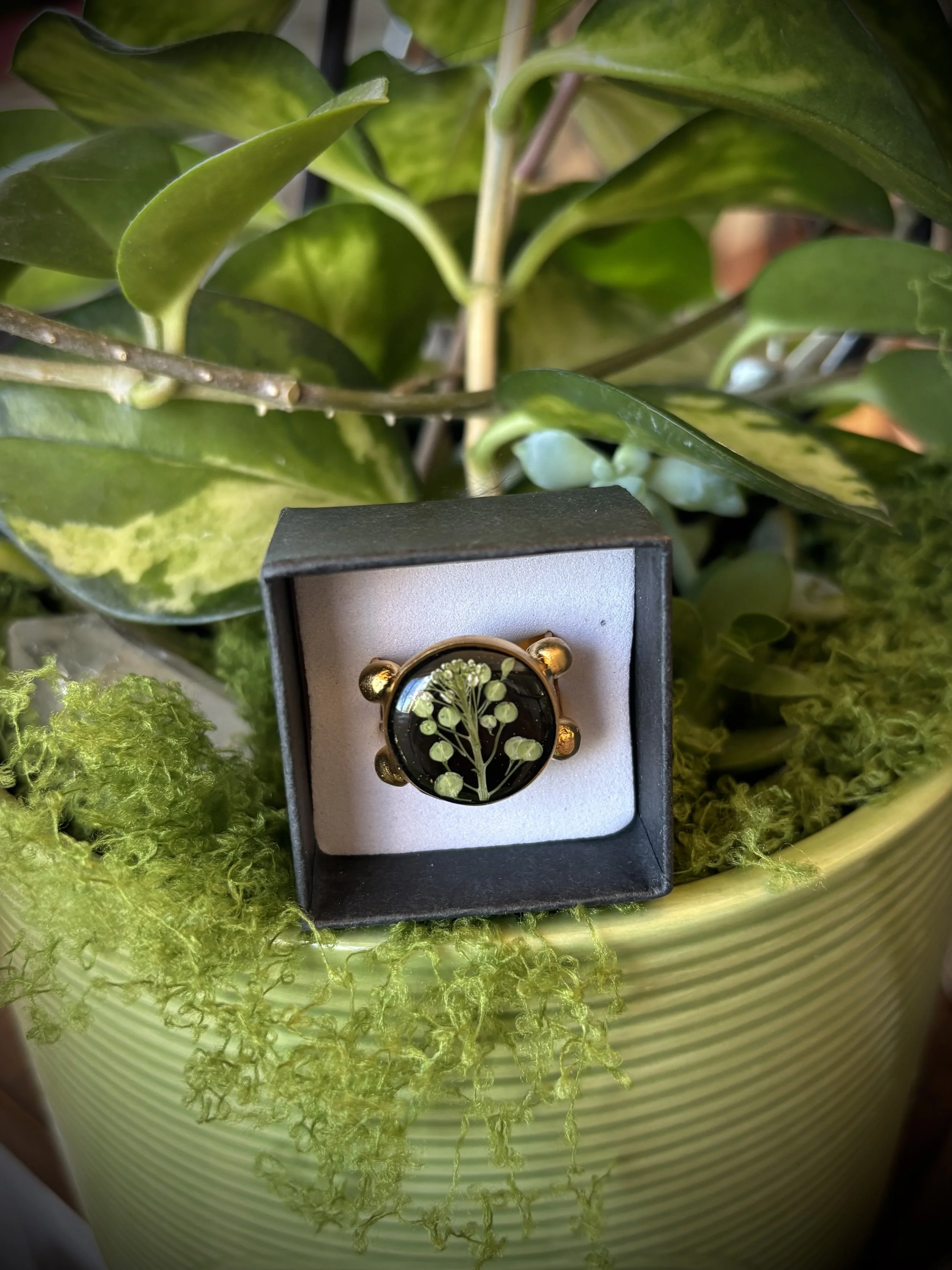 Large Round Gold Ring- Green Sprig