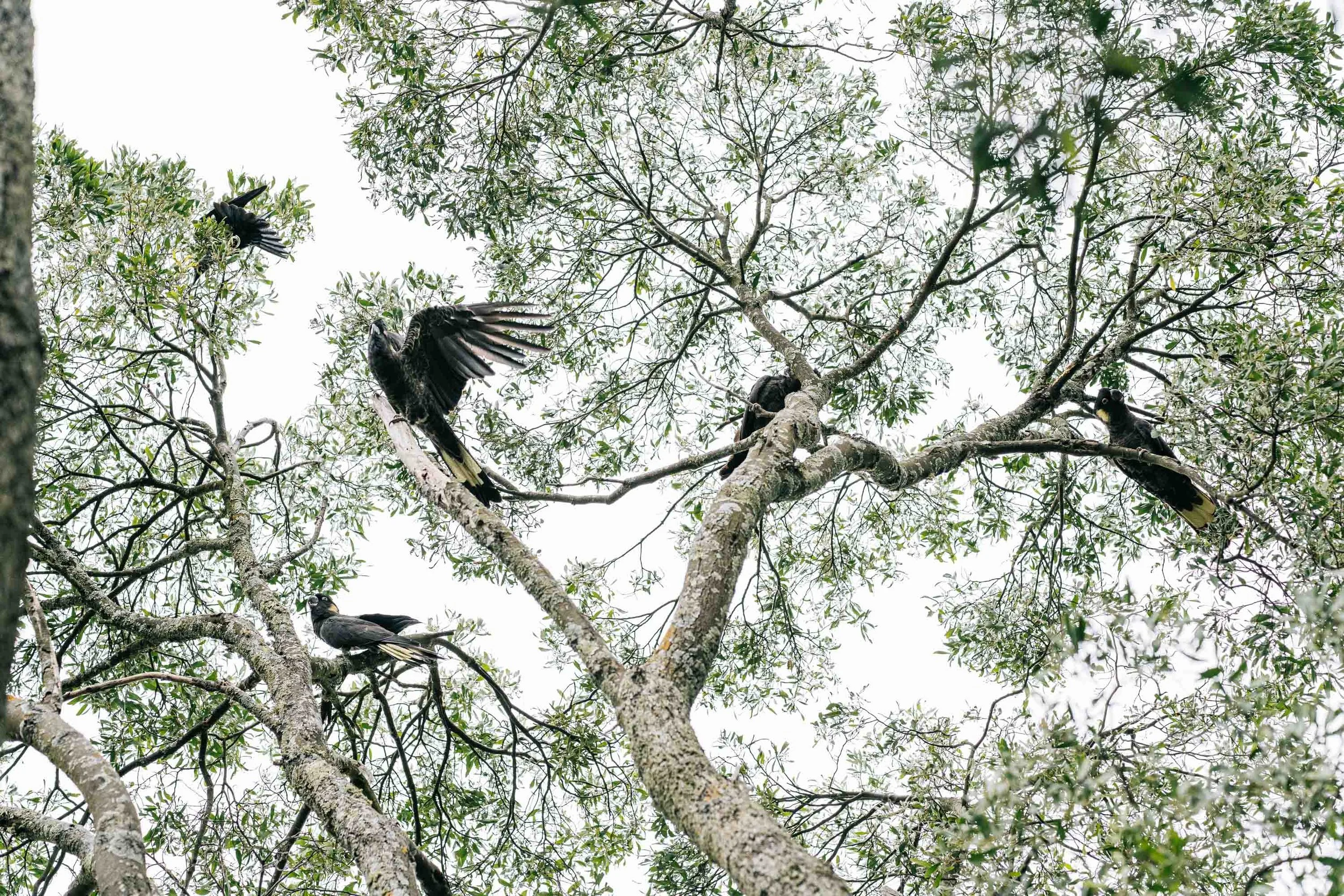 Print Shop_PROOFS ONLY-152.jpg