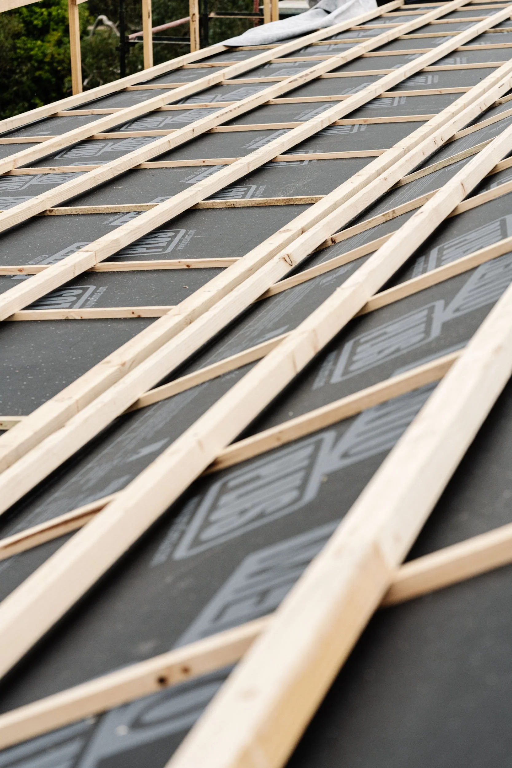 APHA (Marnie Hawson)_low res-26.jpg