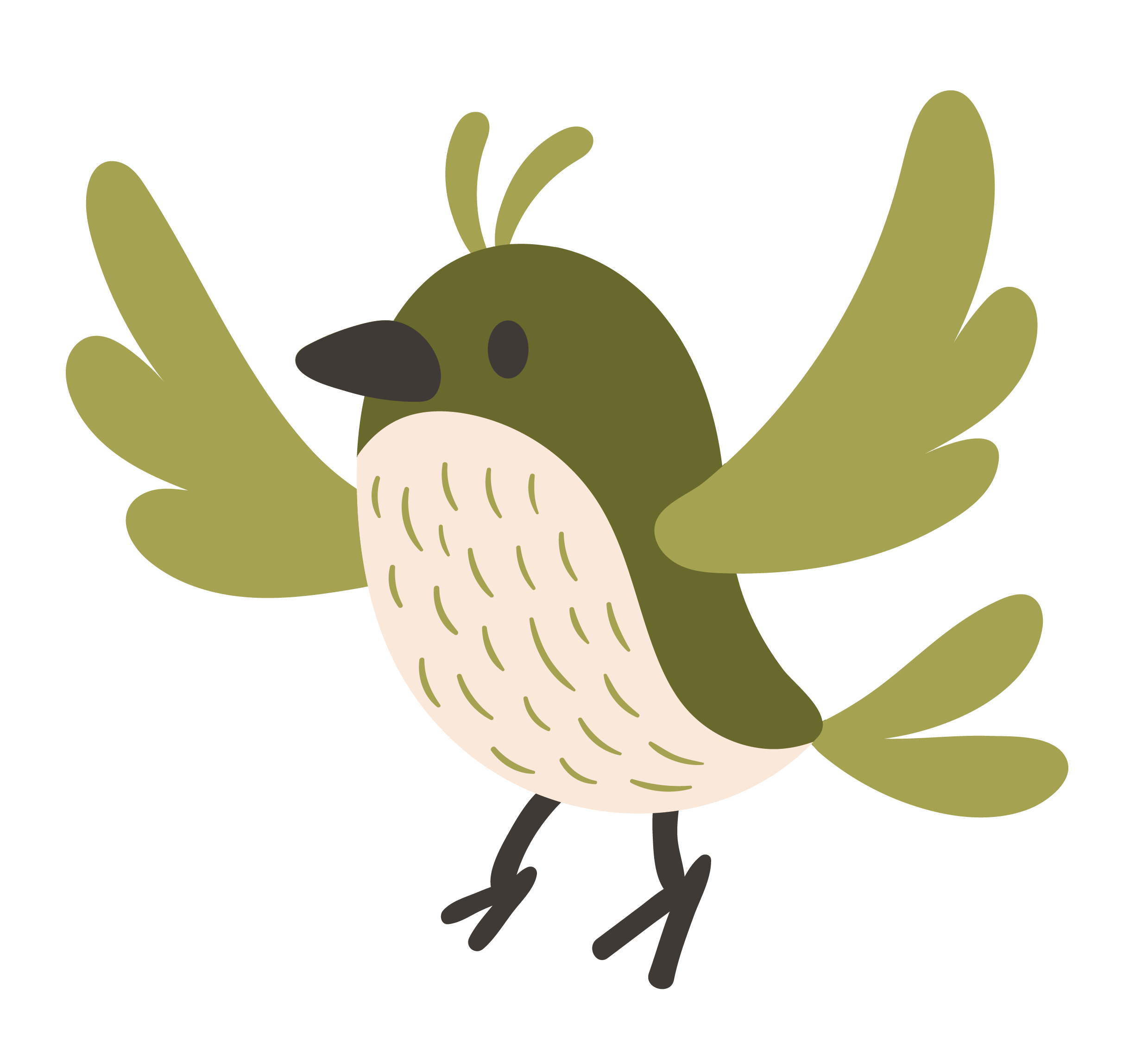 Illustration of a cartoon bird with olive-green wings, a white belly with short lines, a black beak, and black legs, standing with wings spread.