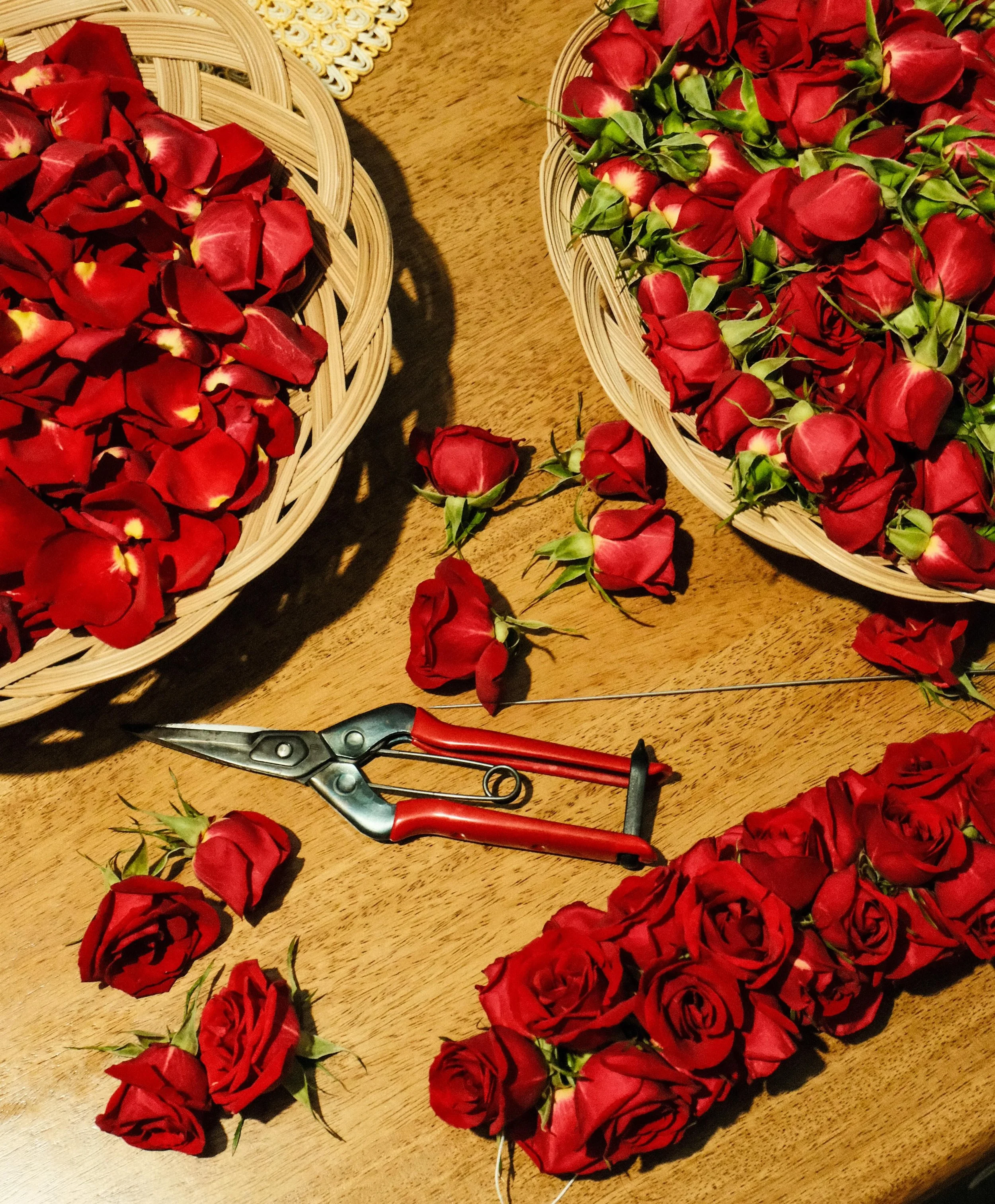 Over 200 roses strung by hand, a LEIbor of love ❤️ happy 61st anniversary to my grandparents ♾️