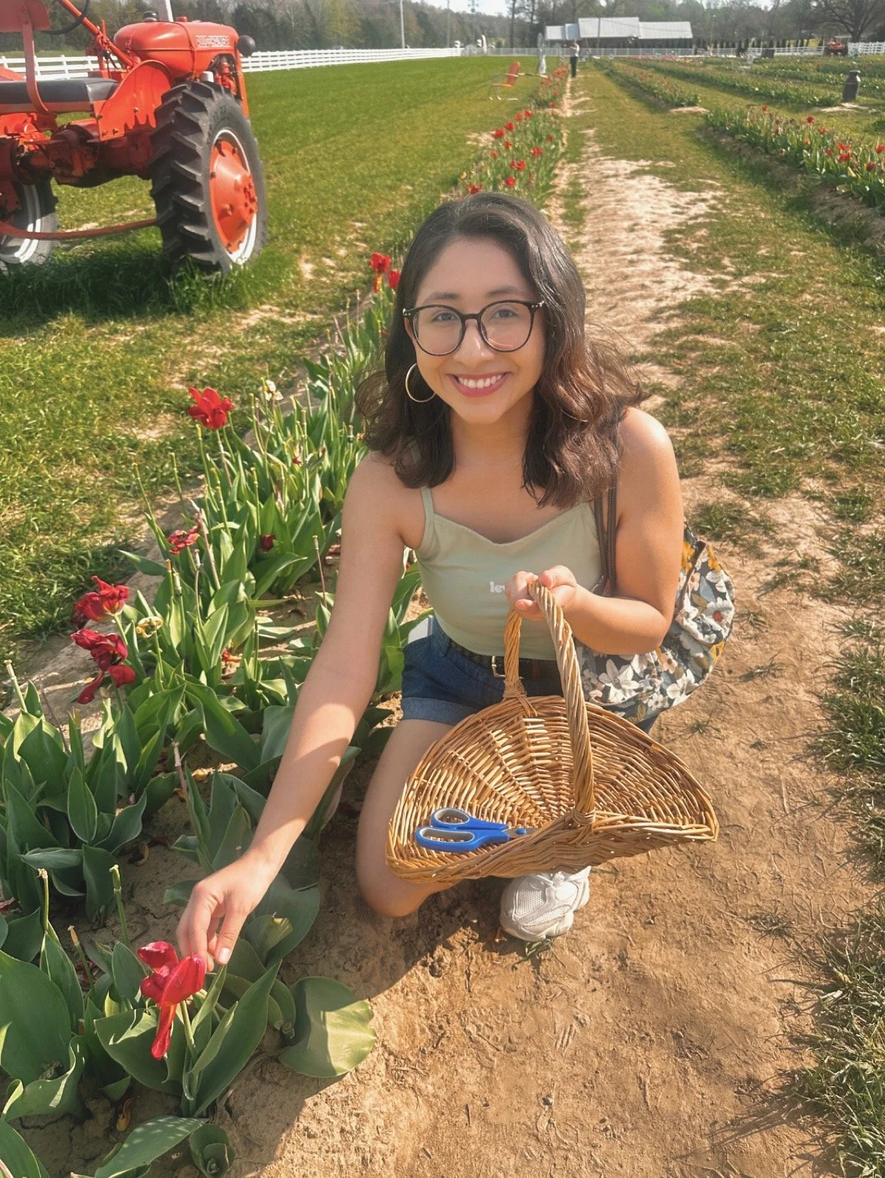 A smiling woman with glasses kneeling on a dirt path in a tulip field, holding a wicker basket with scissors inside, and reaching to touch a red tulip.