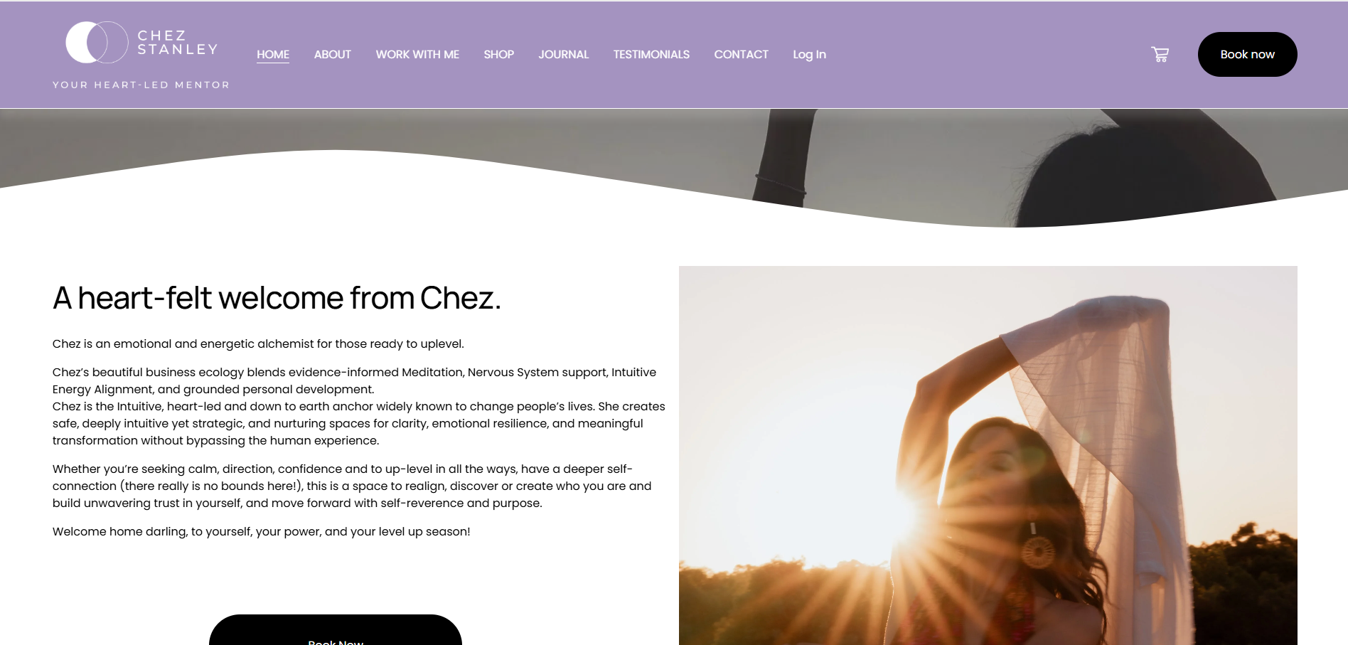 Screenshot of Homepage from chezstanley.com.au