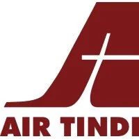 flyairtindi_logo.jpeg