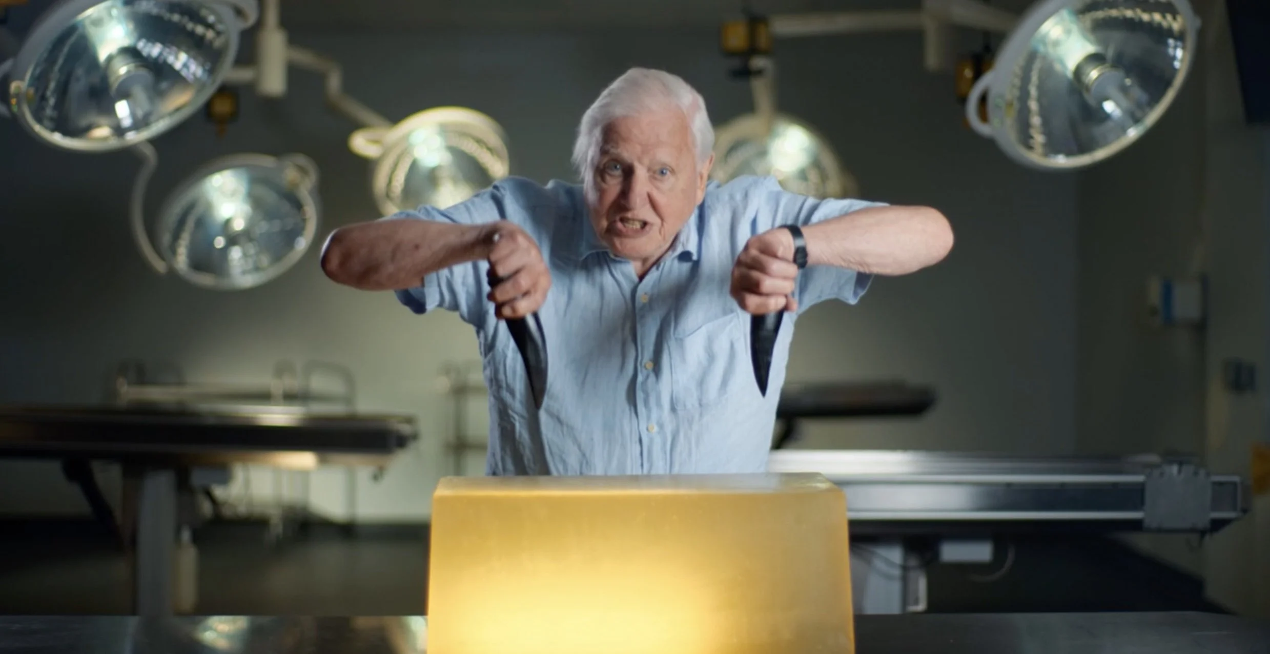 attenborough-and-the-giant-sea-monster-7.jpg