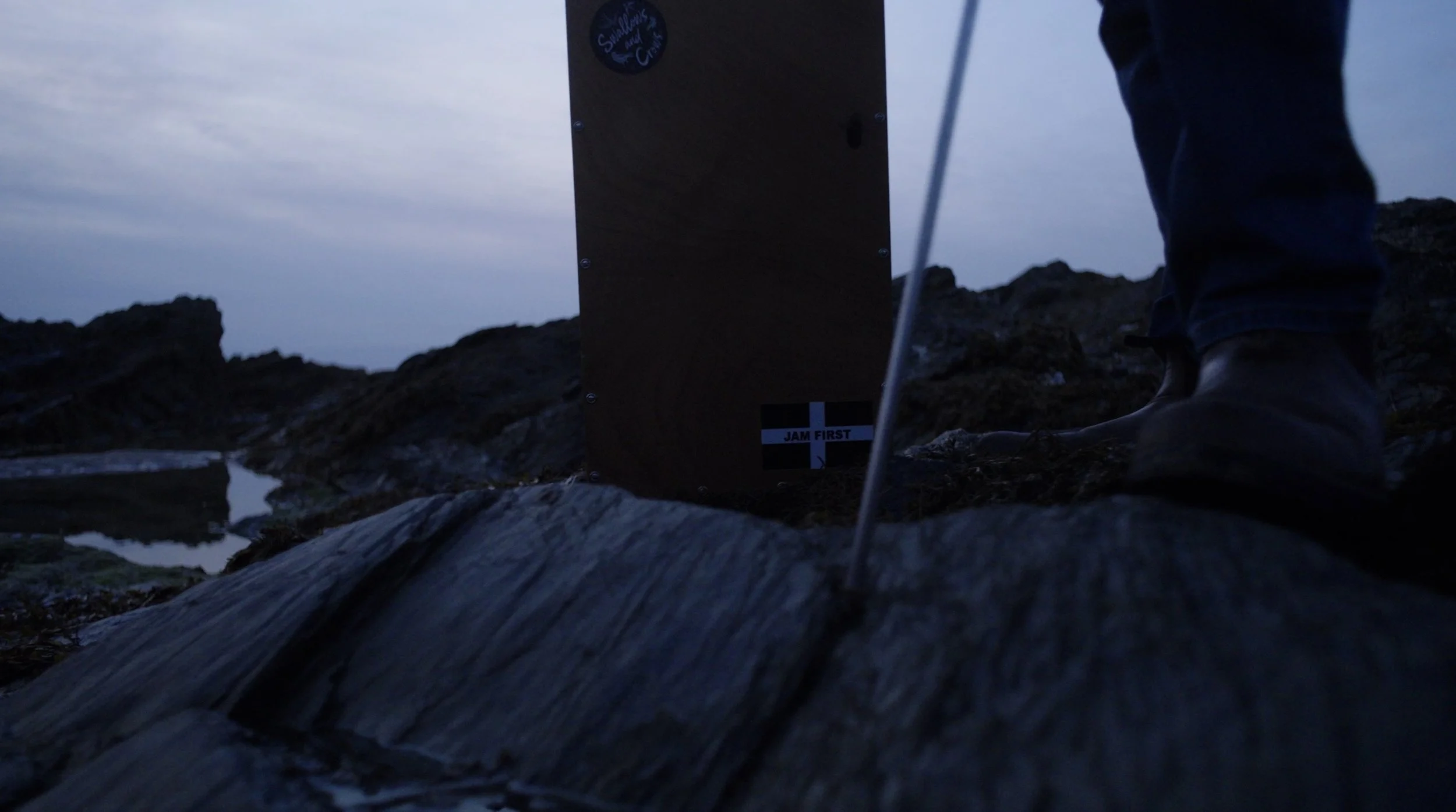 swallows-and-crows-fistral-1.jpg