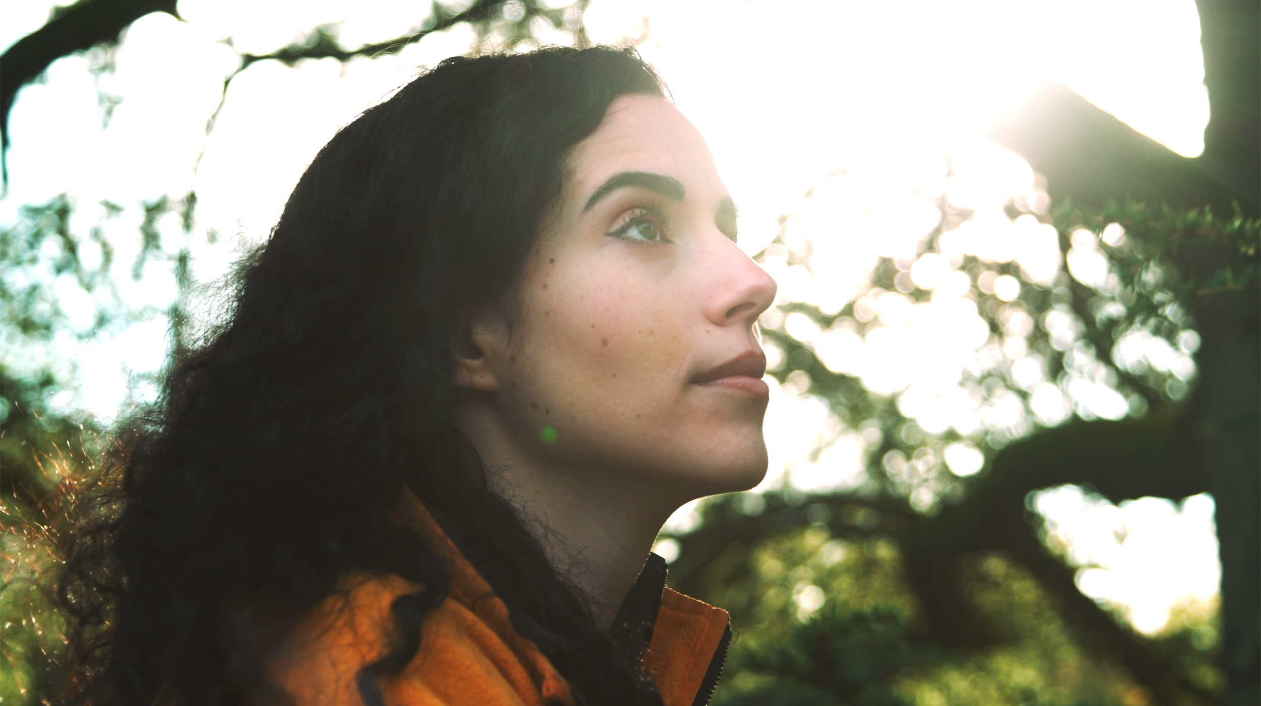 westonbirt_pensive_cu_forest.png