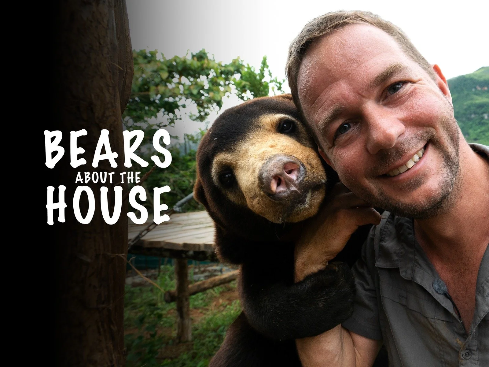 Bears About the House