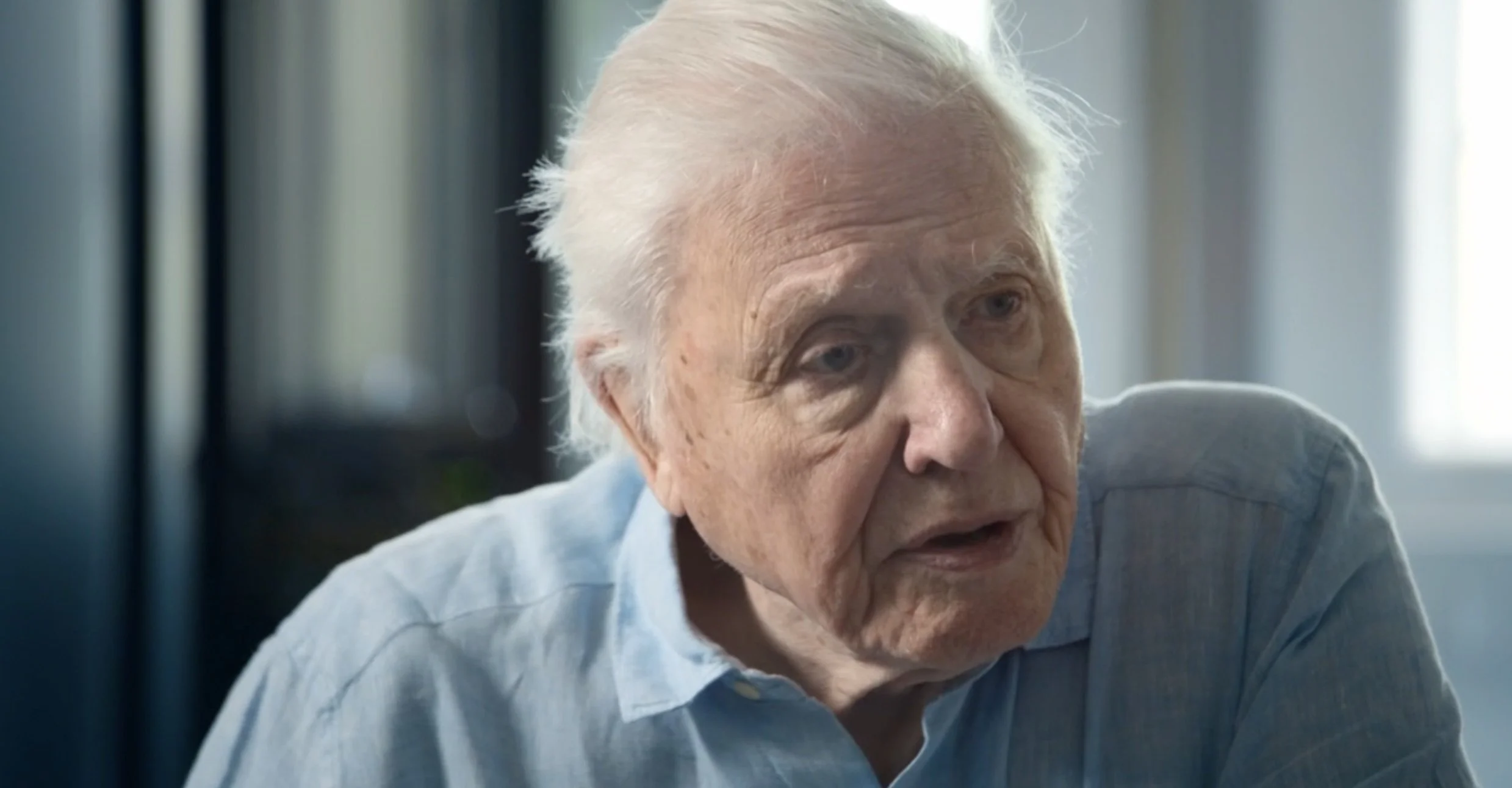 attenborough-and-the-giant-sea-monster-3.jpg