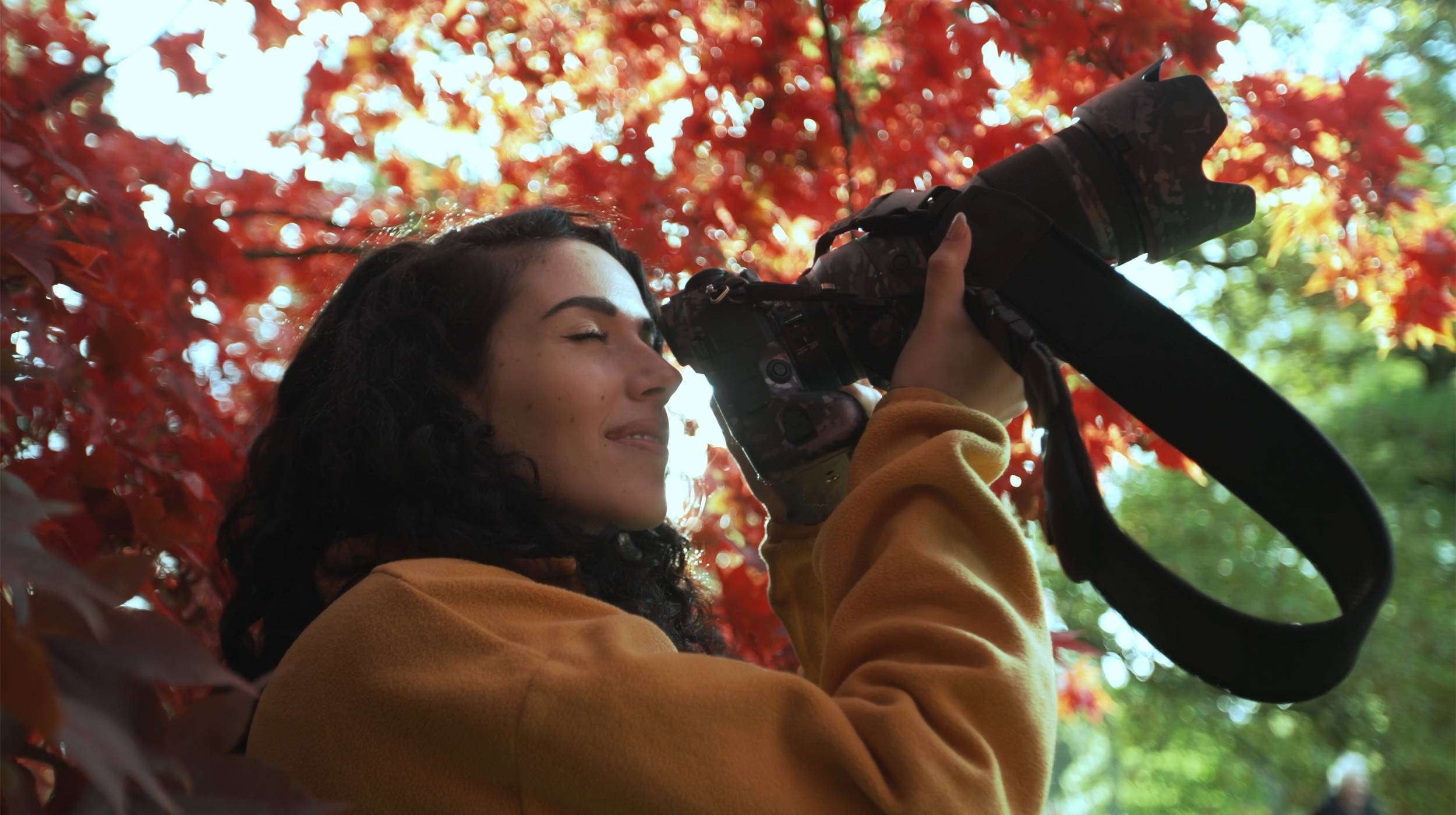westonbirt_pointing_camera.png