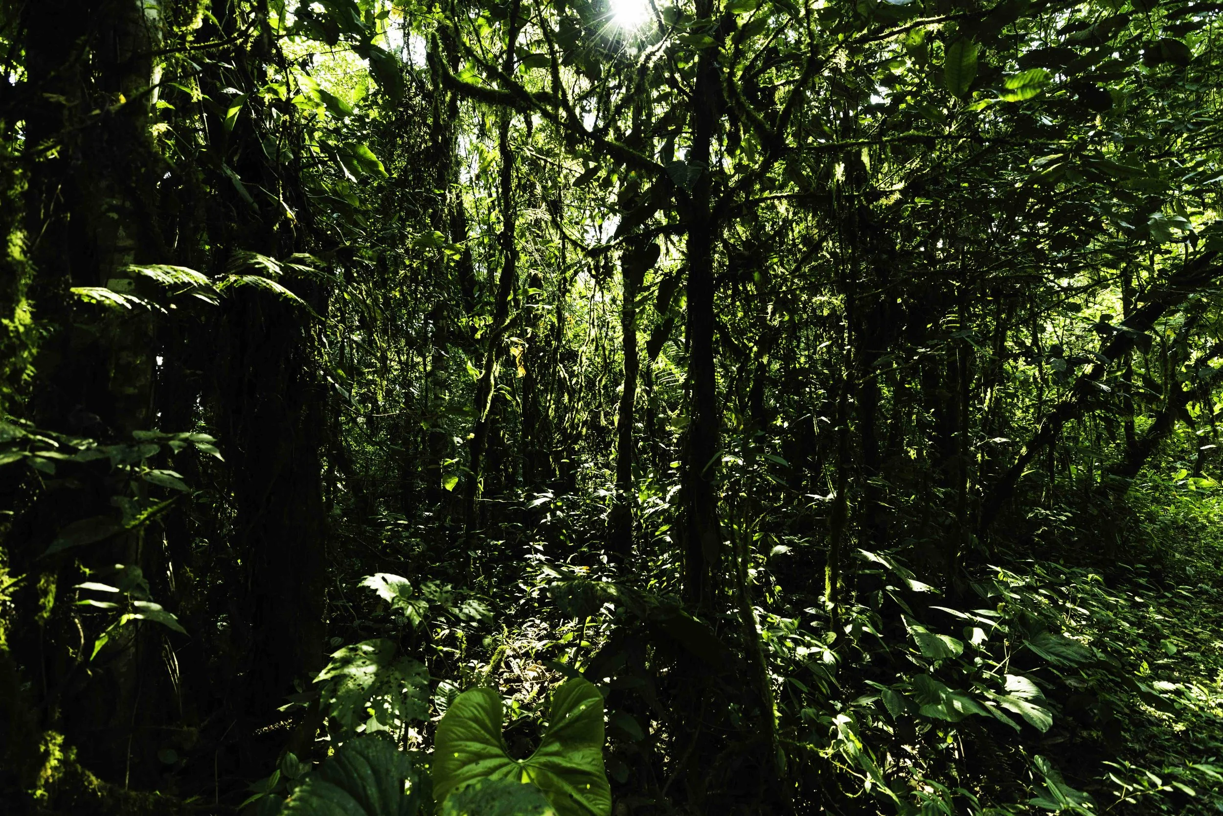 Ecuador / Sequence camera operator & drone