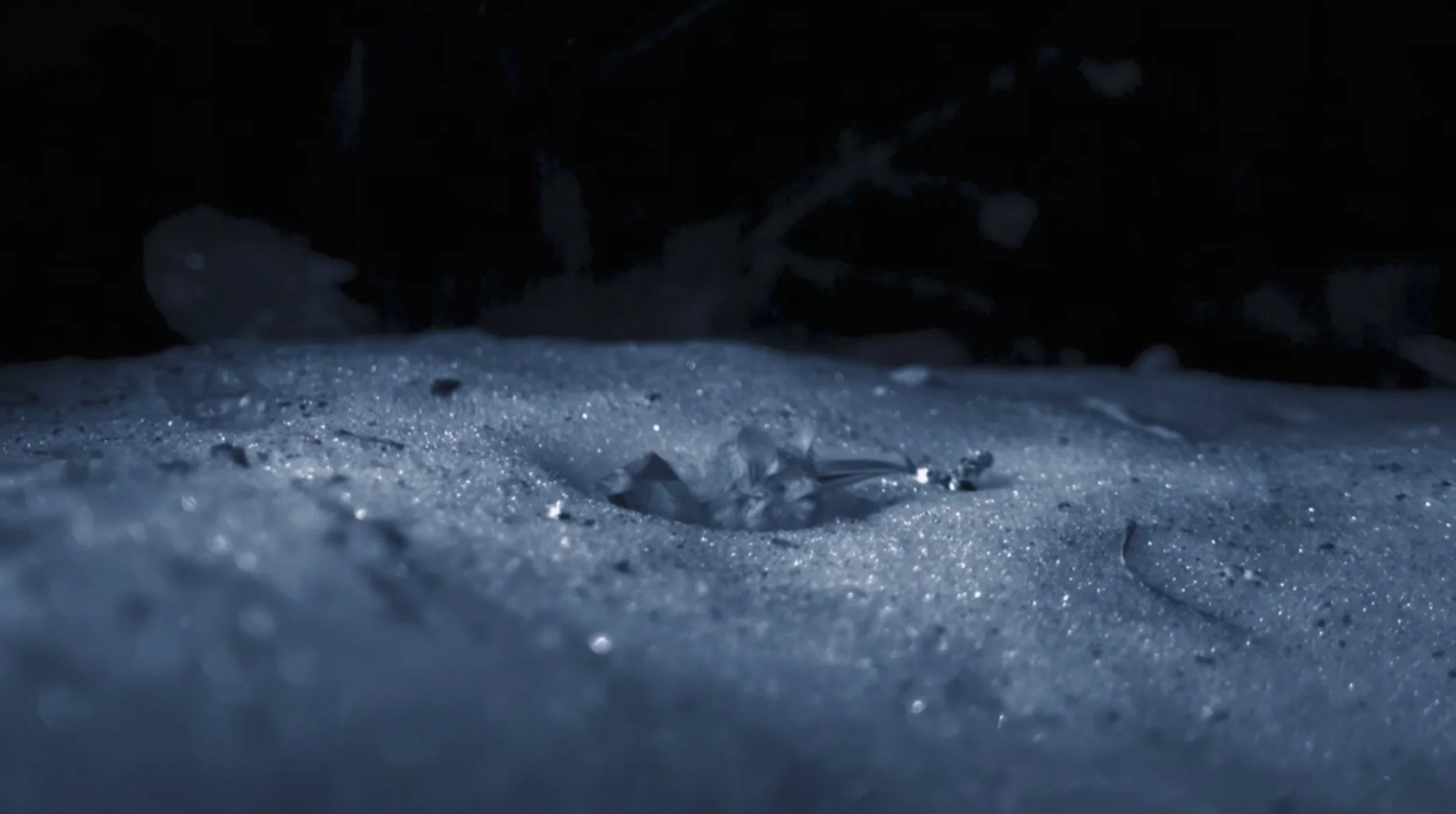 frozen-bats-wide-BBC-NHU-Asia-01.jpg
