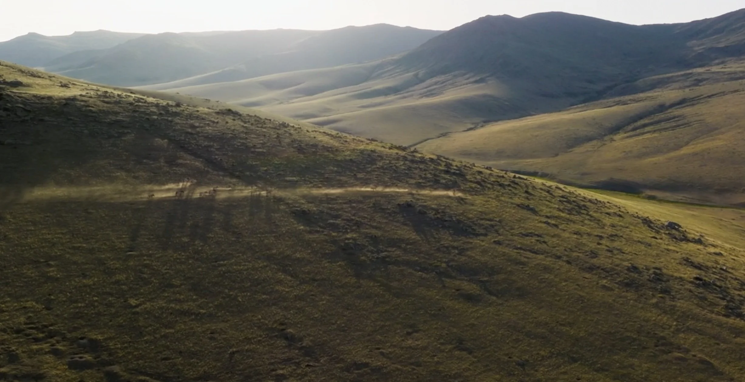 Takhi / "Arid Heart" / Sequence drone operator
