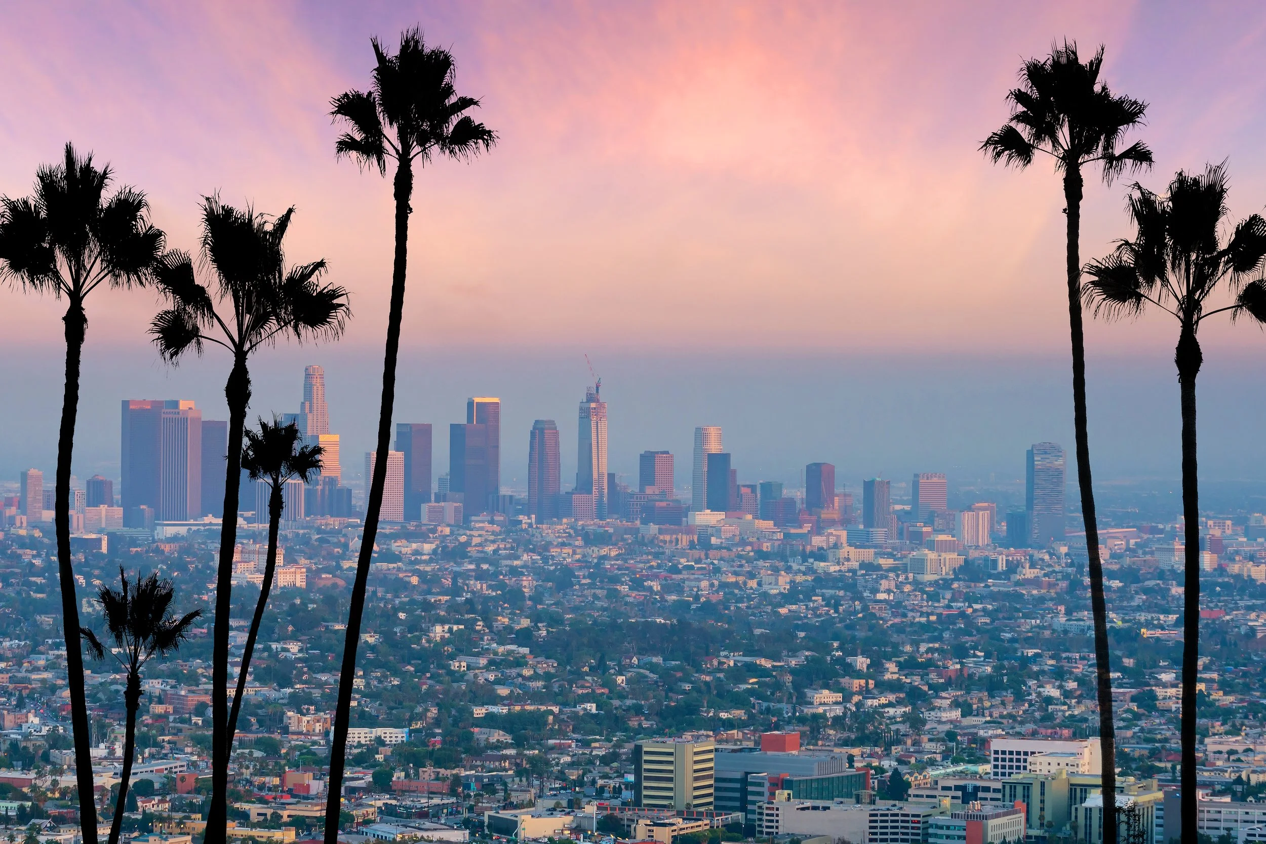 View of a city skyline at sunset with tall palm trees in the foreground.