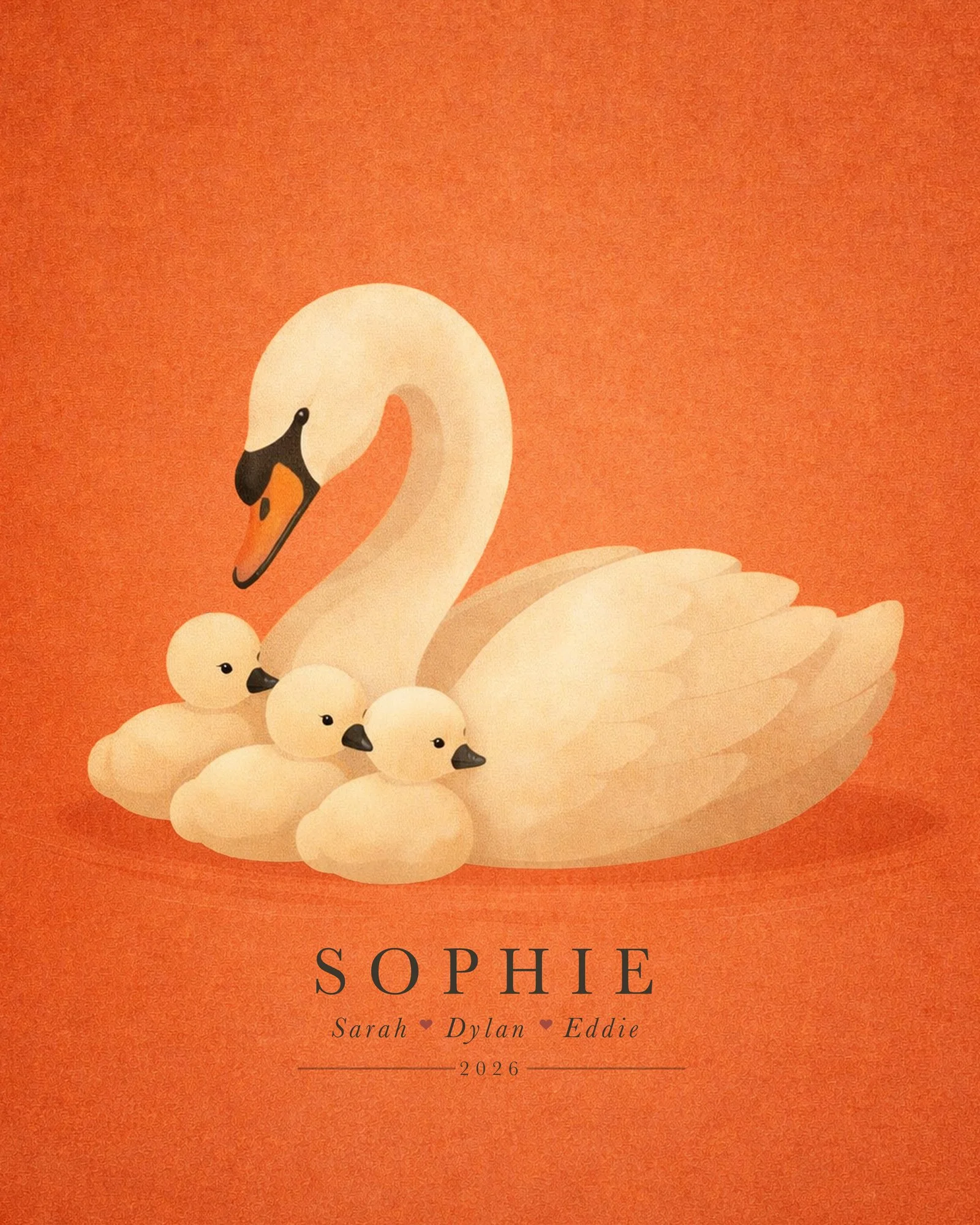 Swan_Cygnet_3.jpg