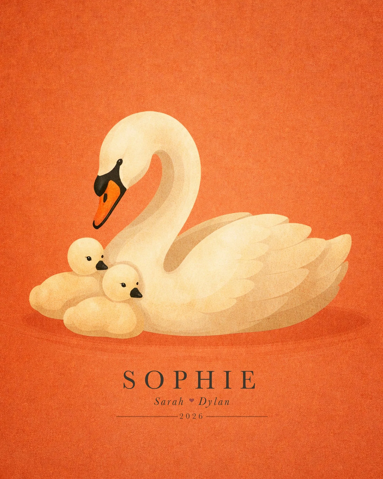 Swan_Cygnet_2.jpg