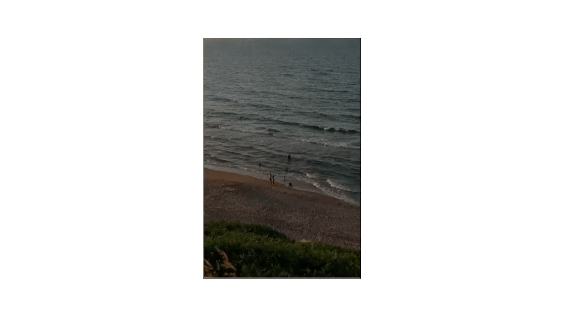 People on a beach near the ocean at sunset or dusk, with a grassy area in the foreground.