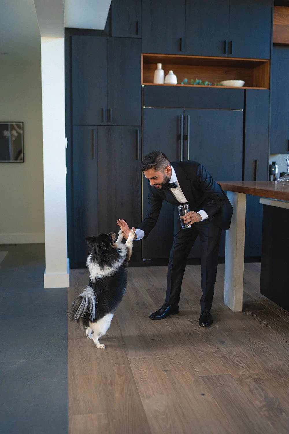 A man in a black tuxedo giving a high five to a black and white dog in a modern kitchen.