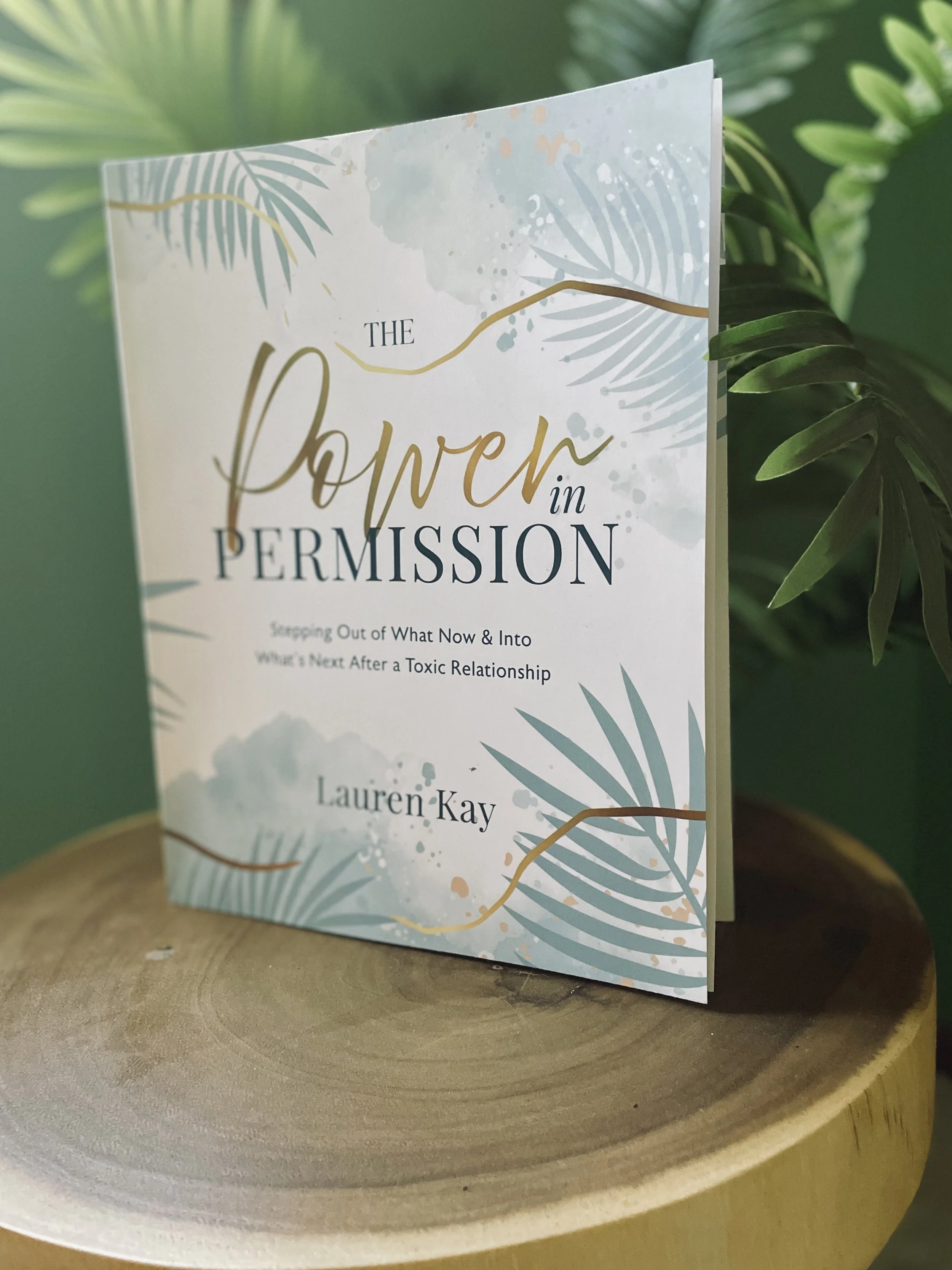 The Power in Permission Workbook