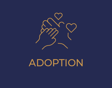 Guiding parents through custody matters with a focus on the child’s best interests.