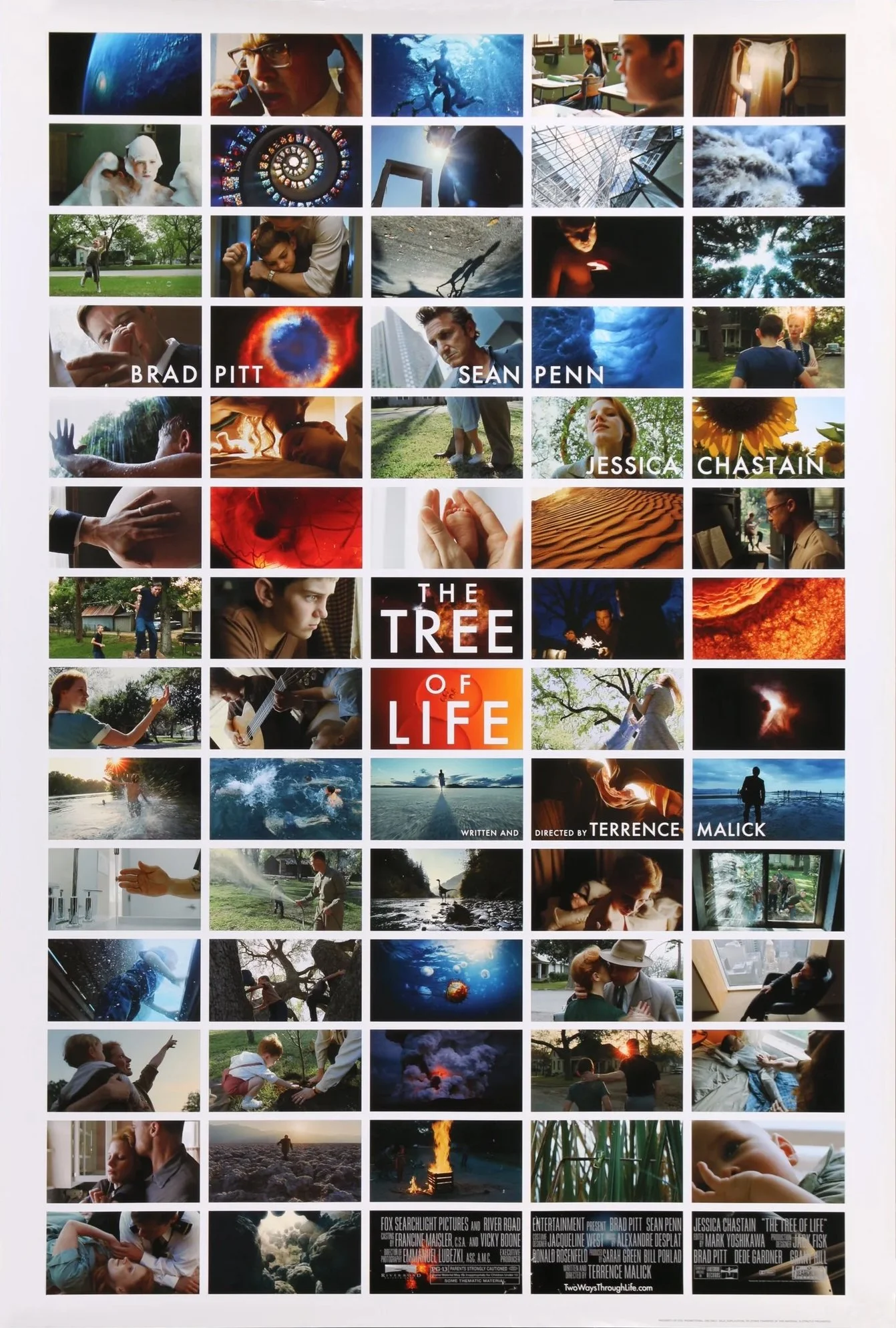 The Tree of Life