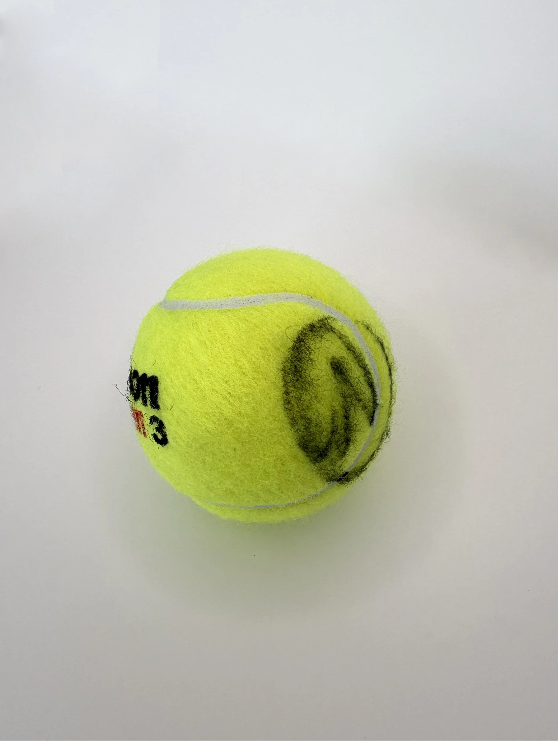 Novak Signed Tennis Ball Side.jpg