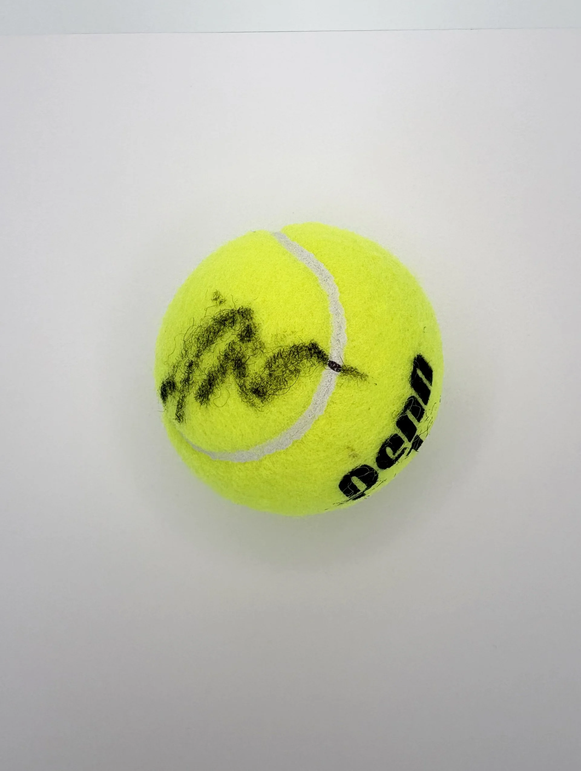 Amanda Anisomova Signed Ball Side.jpg