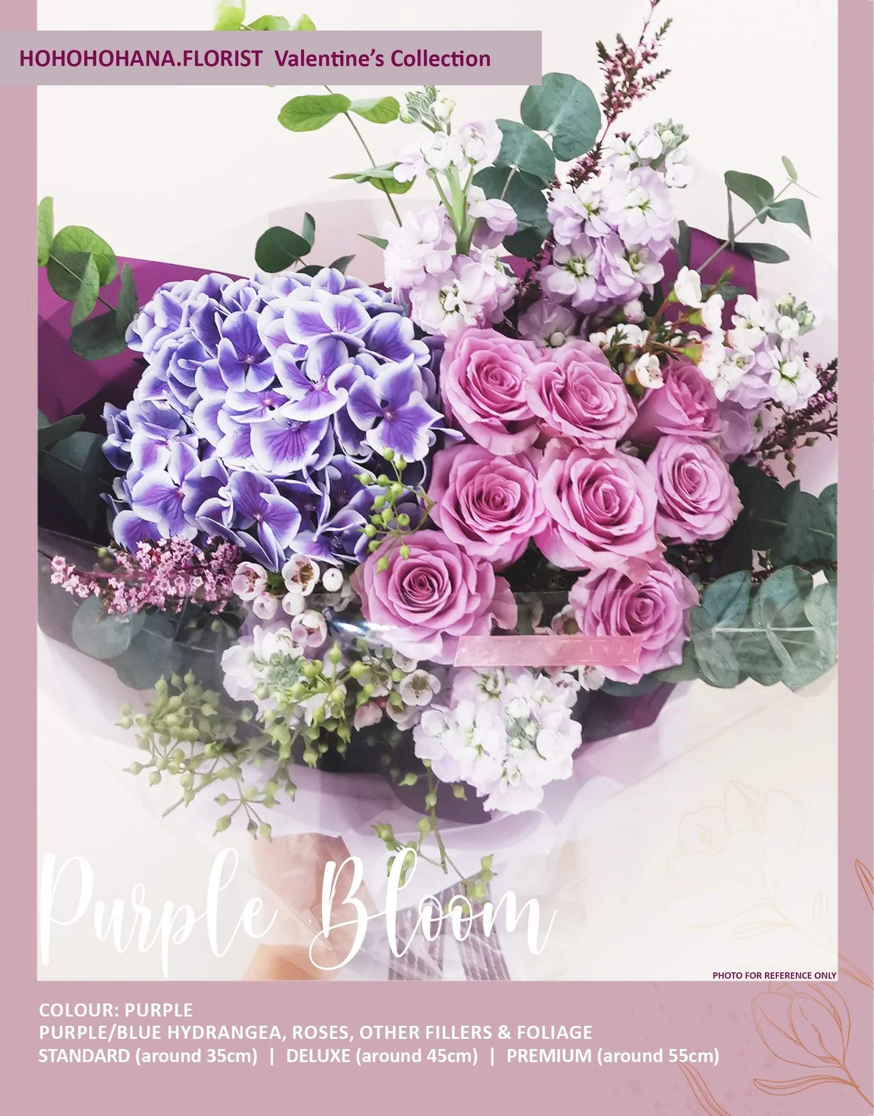 01 Purple Bloom 2.JPG