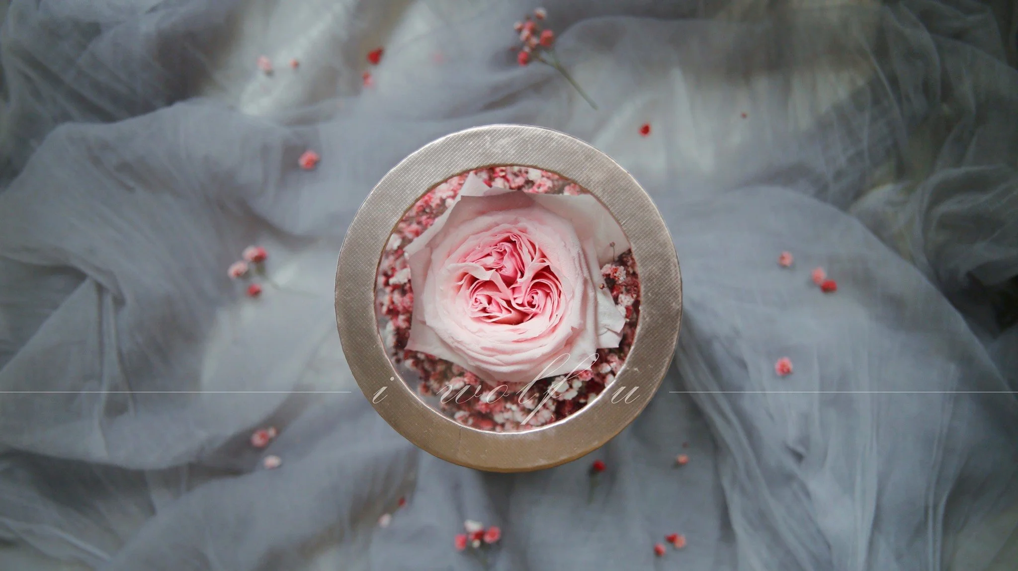 Top-down view of a single pink rose inside a round metallic container, surrounded by small pink and white flower petals, placed on semi-transparent gray fabric.