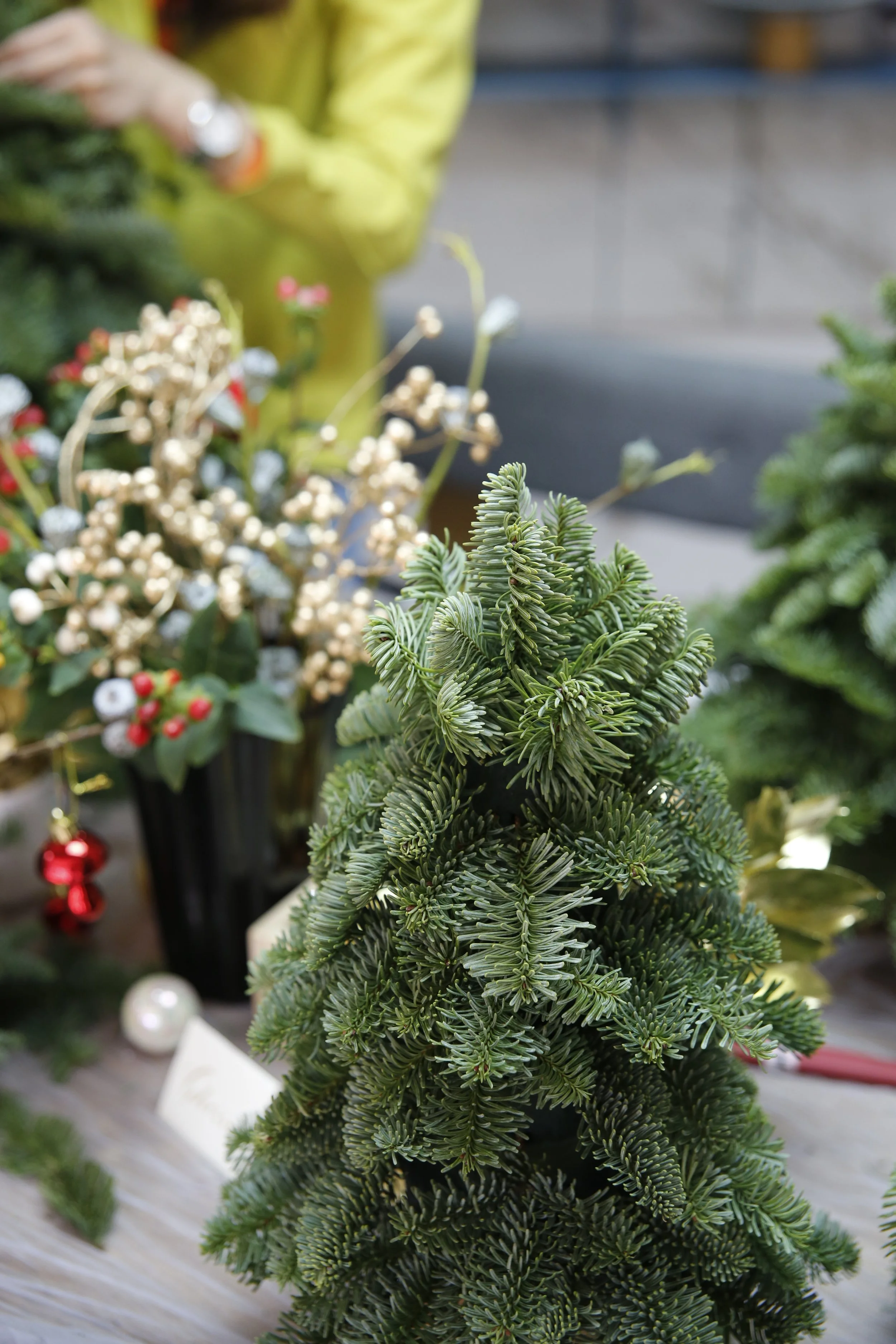 Christmas Tree & Wreath