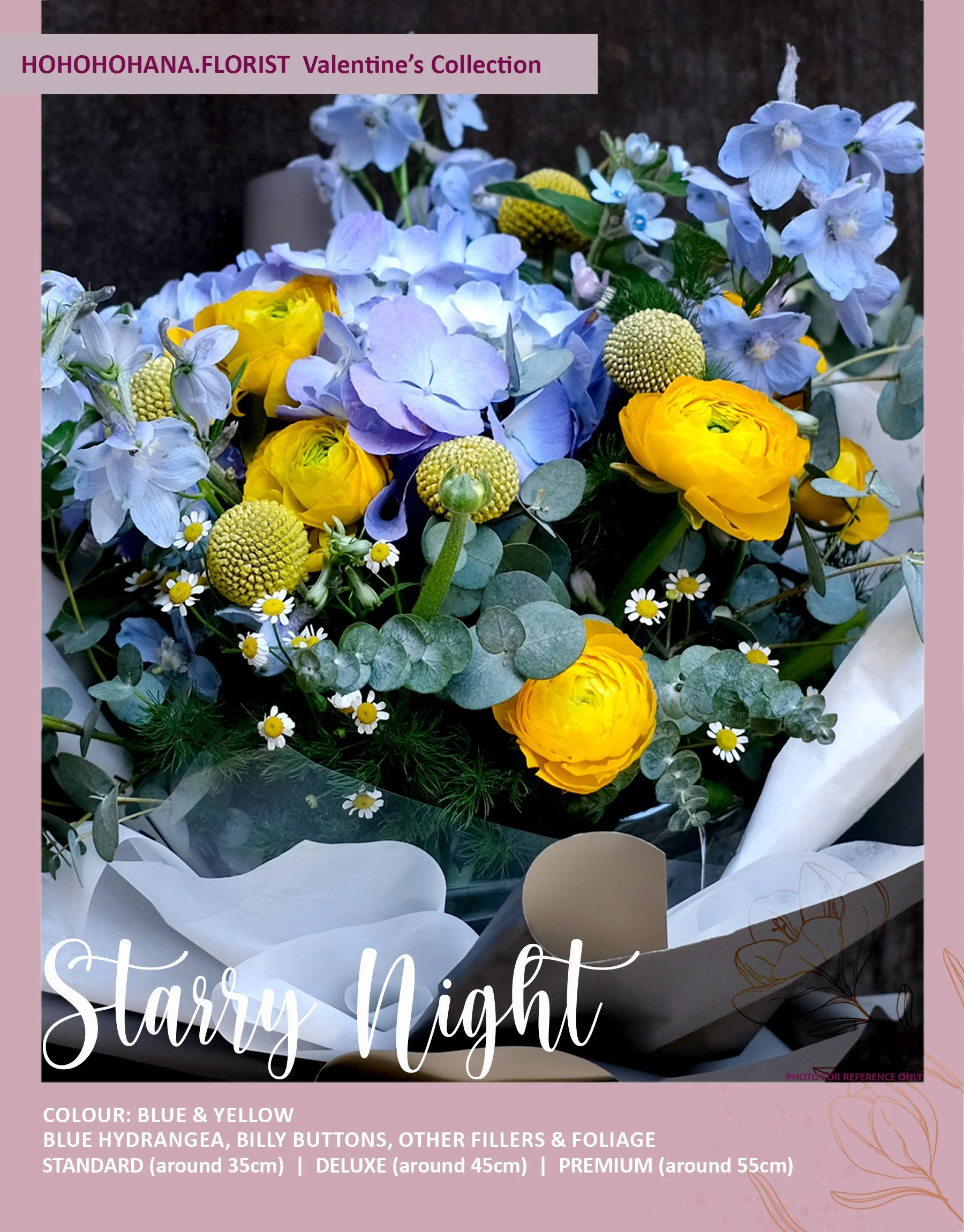 06 Starry Night 2.JPG